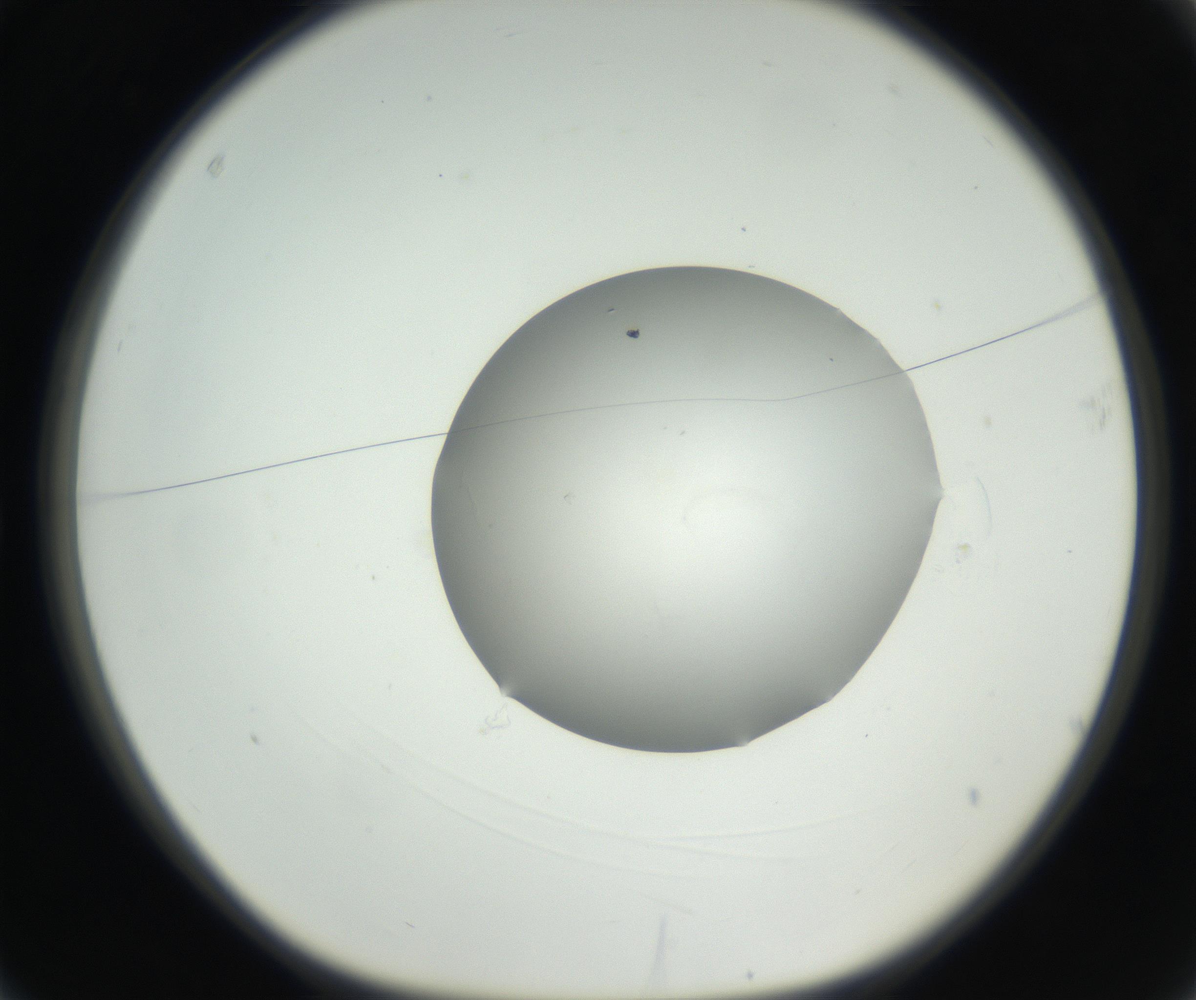 RI01_03_000_0212_Proj1_Clon1_MC_0000MC102636_003_160814_03_01_01_00_99_002_001_RAI.jpg