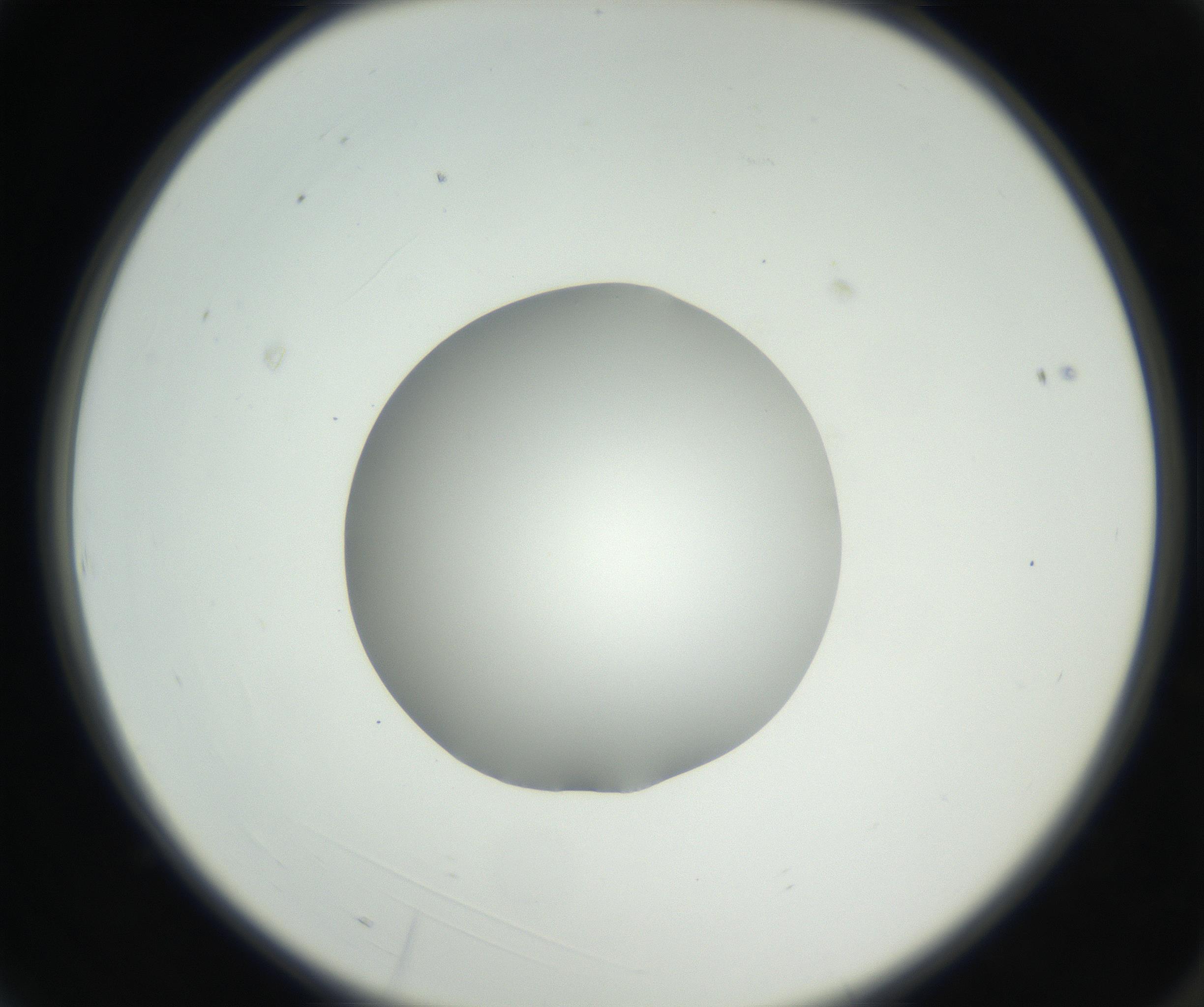 RI01_03_000_0212_Proj1_Clon1_MC_0000MC102636_003_160814_03_01_02_00_99_002_001_RAI.jpg