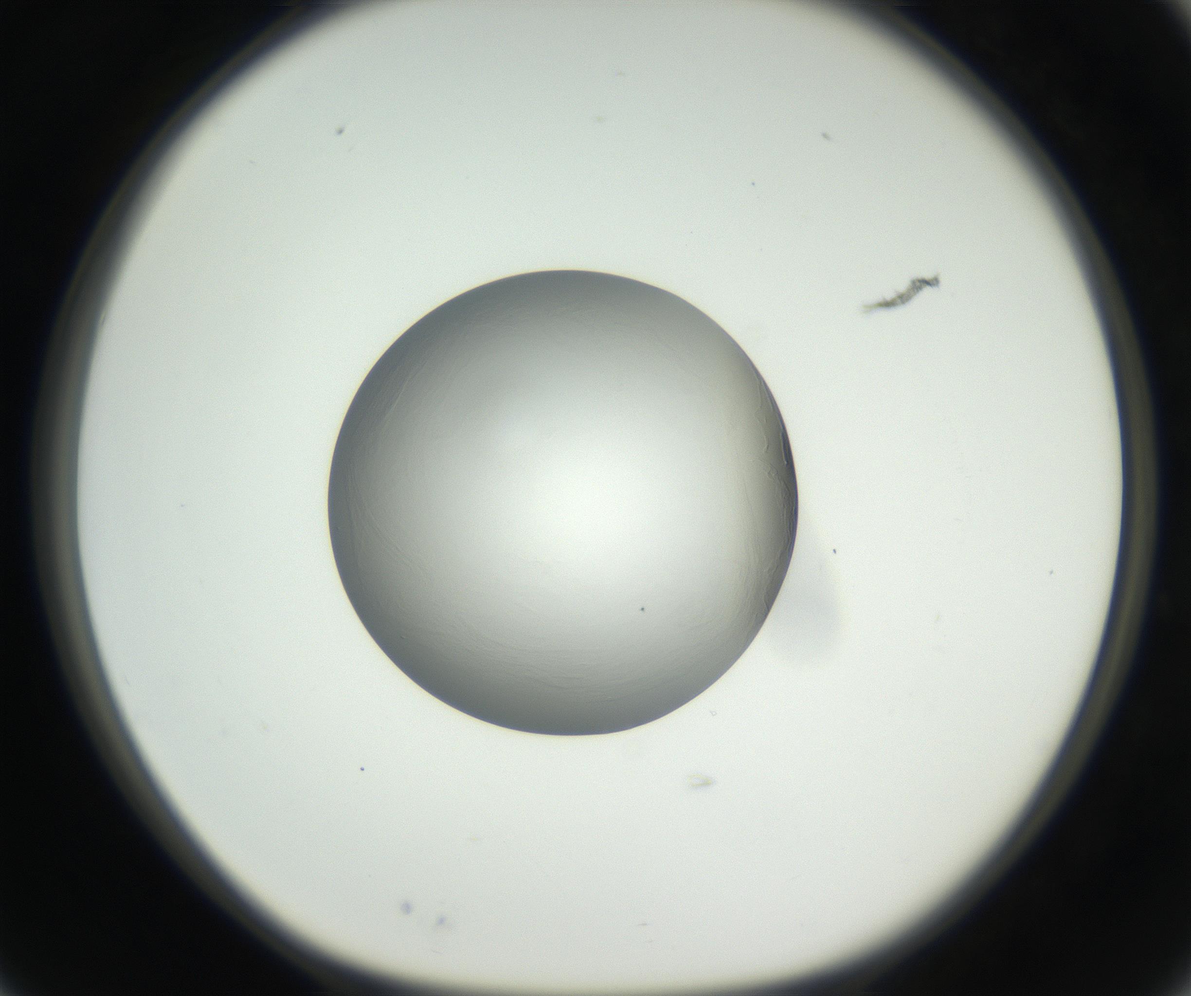 RI01_03_000_0212_Proj1_Clon1_MC_0000MC102636_003_160814_03_02_01_00_99_002_001_RAI.jpg