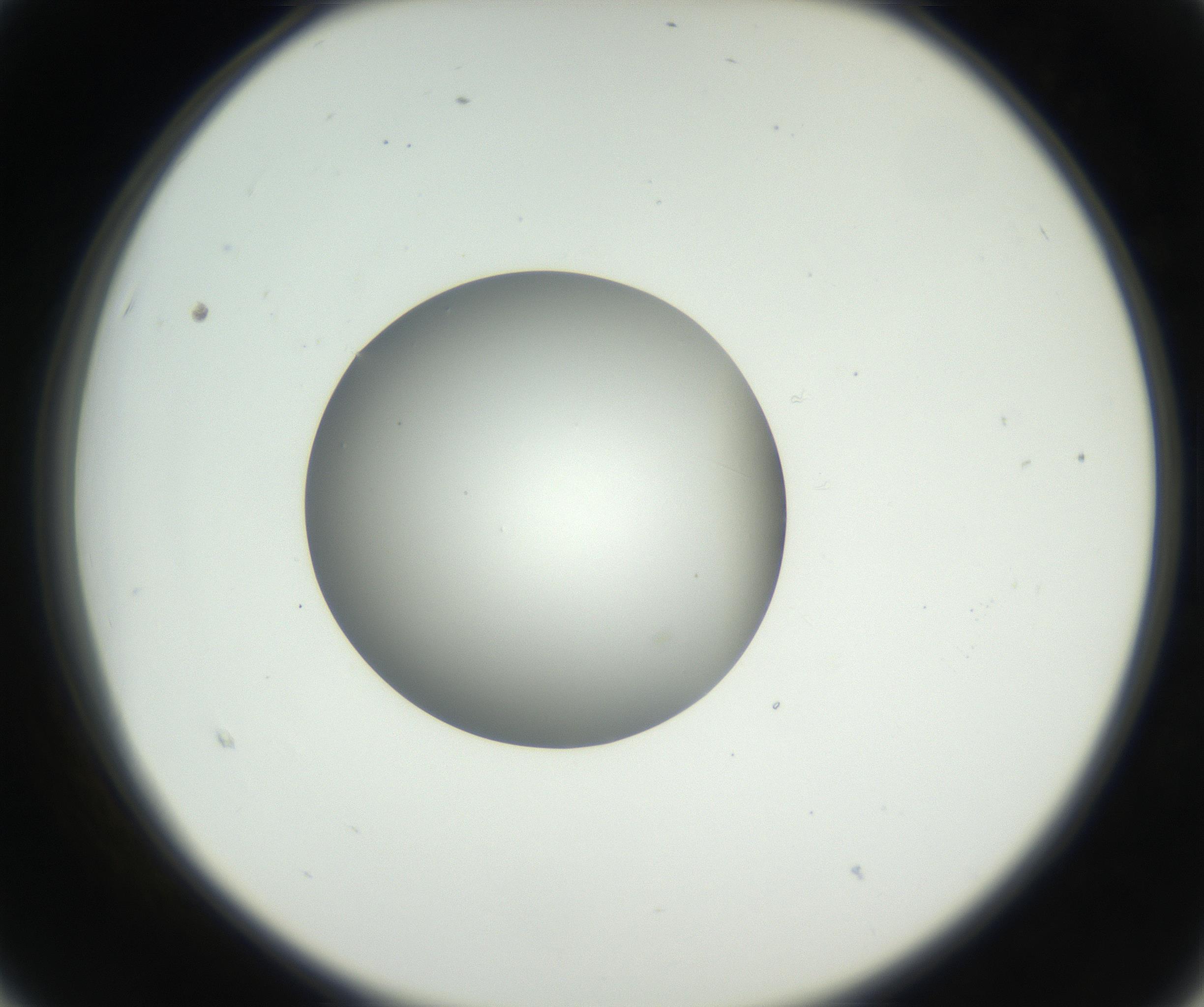 RI01_03_000_0212_Proj1_Clon1_MC_0000MC102636_003_160814_03_02_02_00_99_002_001_RAI.jpg
