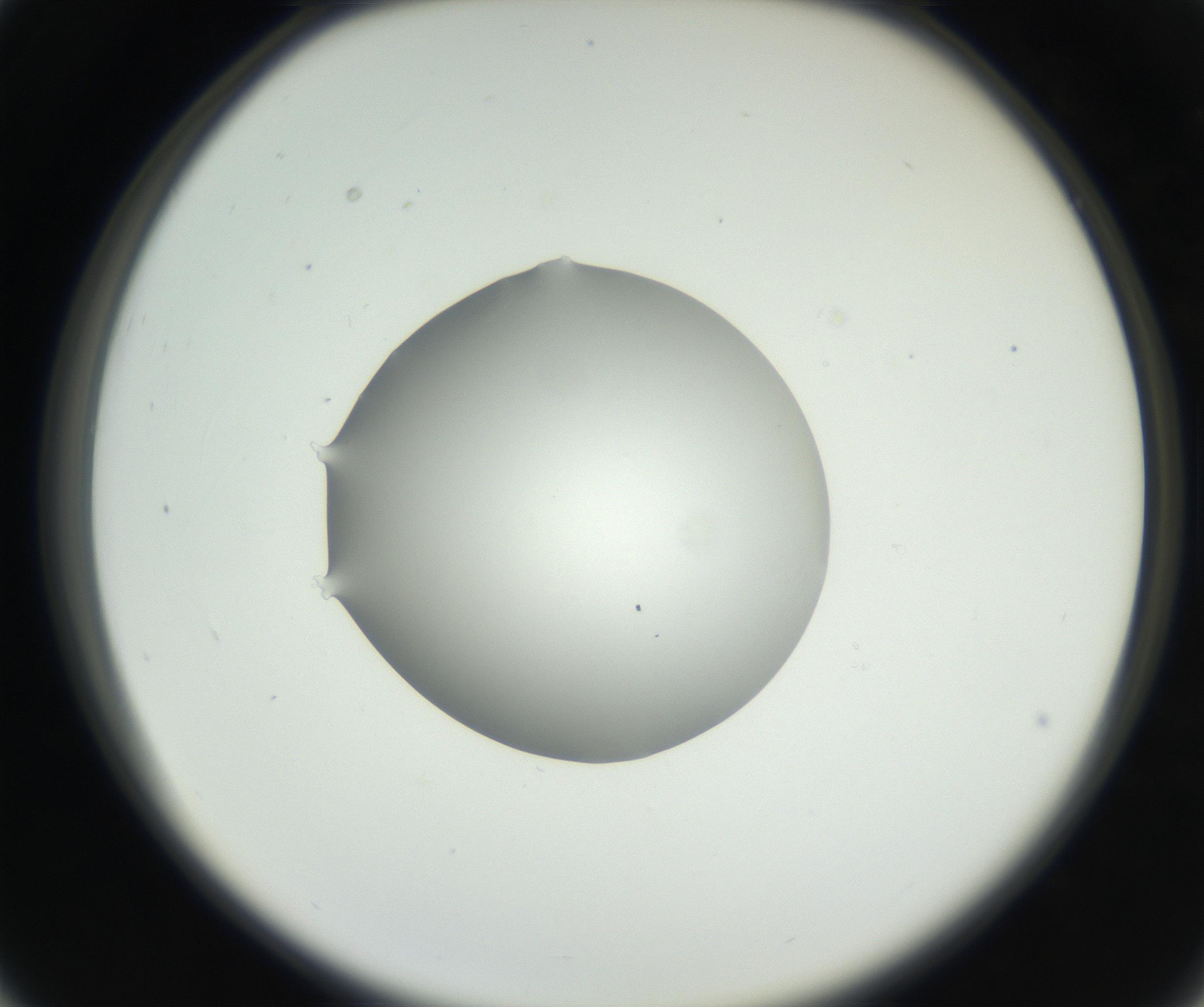 RI01_03_000_0212_Proj1_Clon1_MC_0000MC102636_003_160814_03_03_02_00_99_002_001_RAI.jpg