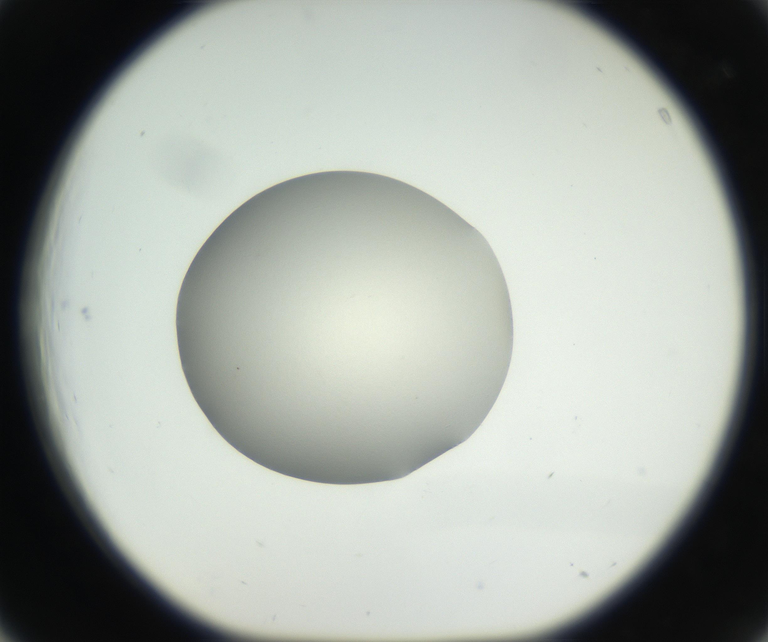 RI01_03_000_0212_Proj1_Clon1_MC_0000MC102636_003_160814_03_04_01_00_99_002_001_RAI.jpg