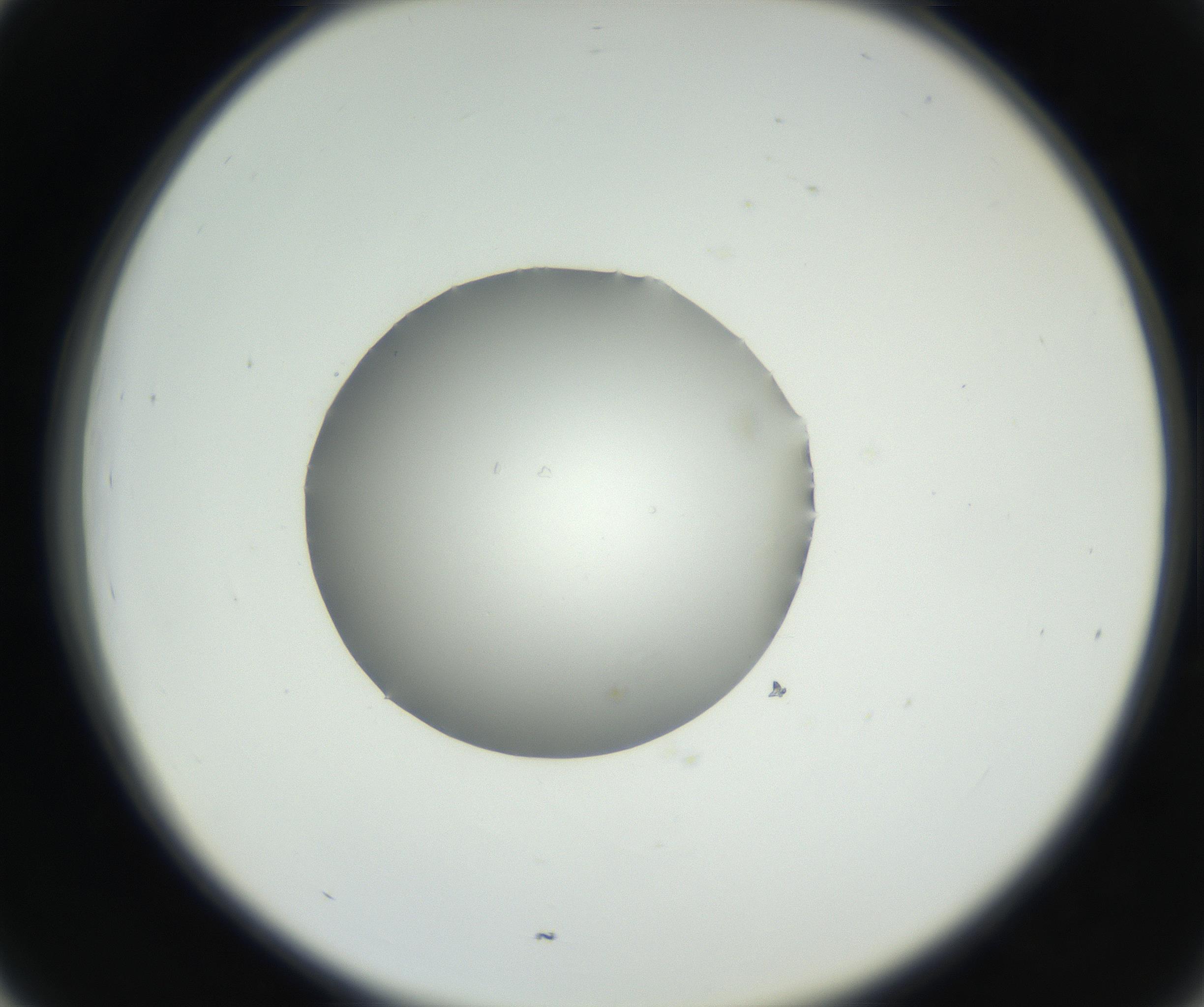 RI01_03_000_0212_Proj1_Clon1_MC_0000MC102636_003_160814_03_04_02_00_99_002_001_RAI.jpg