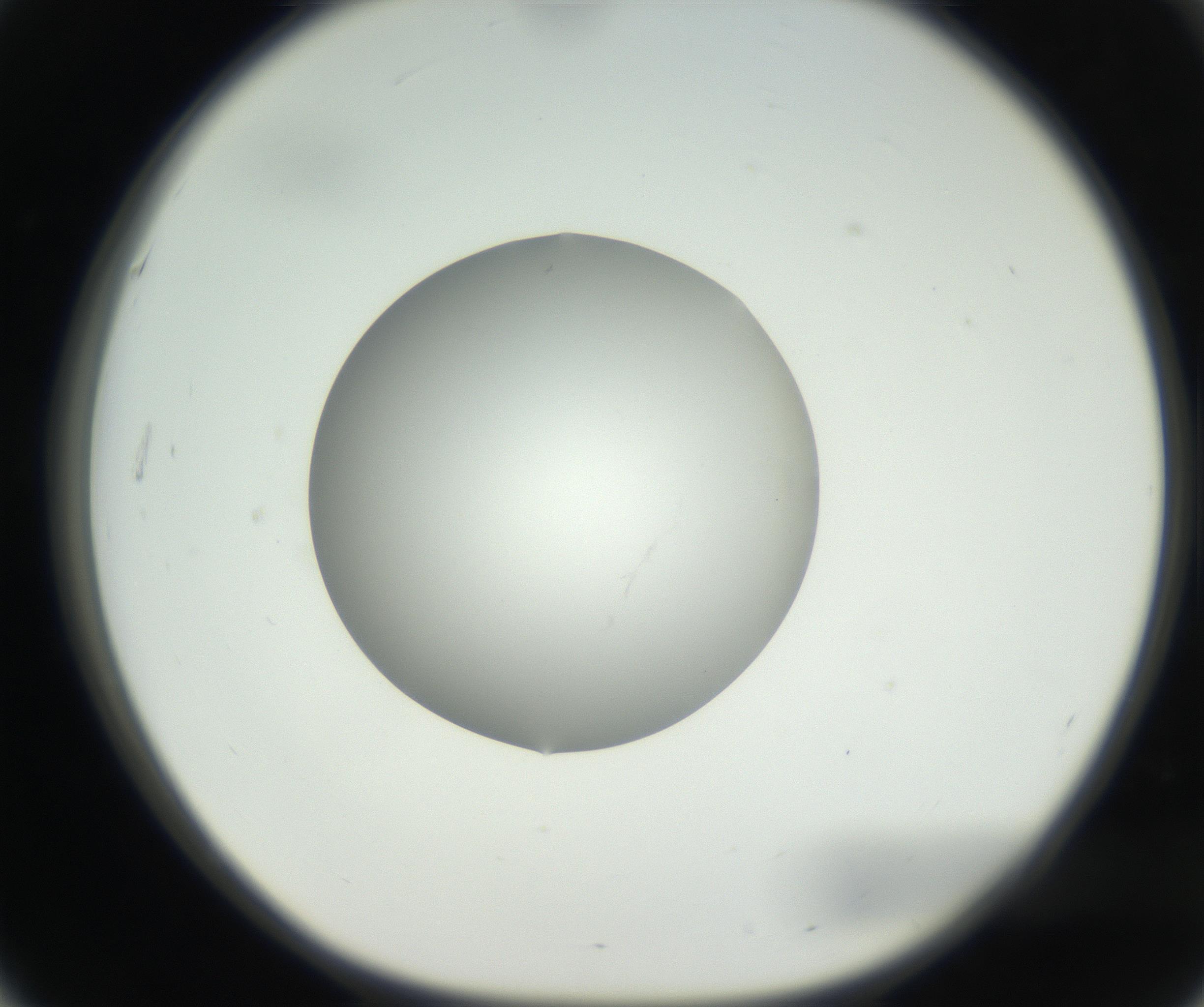 RI01_03_000_0212_Proj1_Clon1_MC_0000MC102636_003_160814_03_05_01_00_99_002_001_RAI.jpg