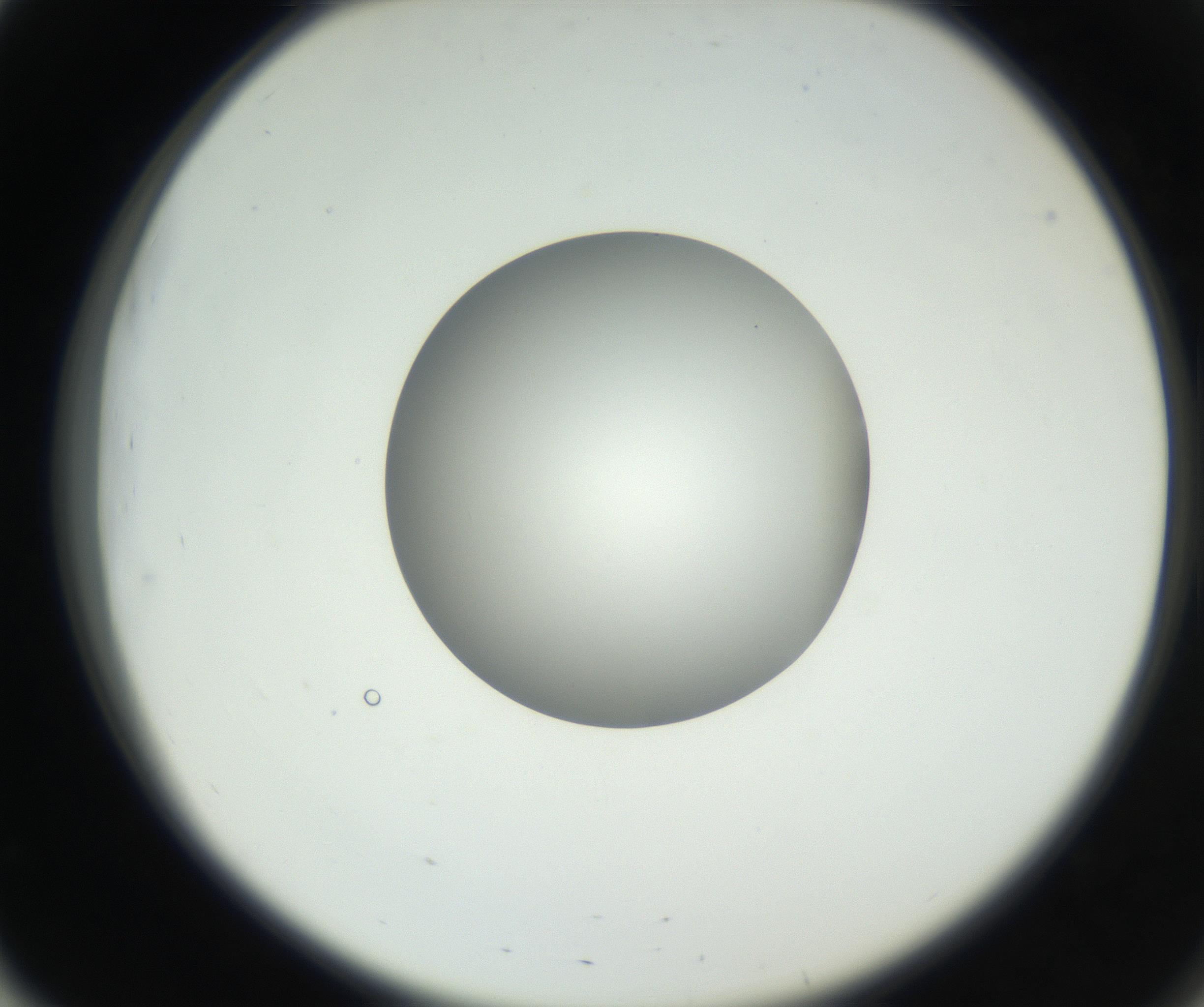 RI01_03_000_0212_Proj1_Clon1_MC_0000MC102636_003_160814_03_05_02_00_99_002_001_RAI.jpg