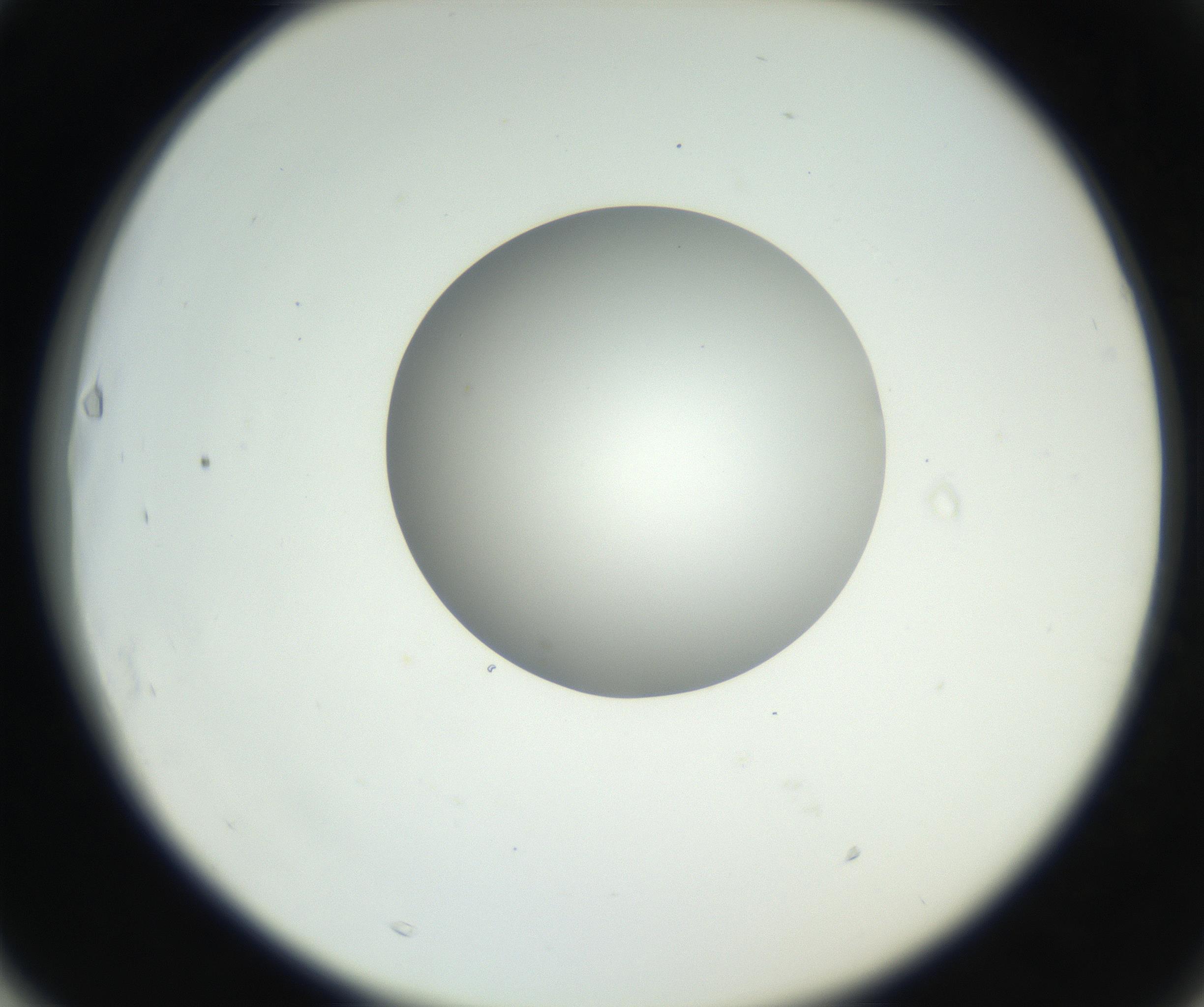 RI01_03_000_0212_Proj1_Clon1_MC_0000MC102636_003_160814_03_06_02_00_99_002_001_RAI.jpg