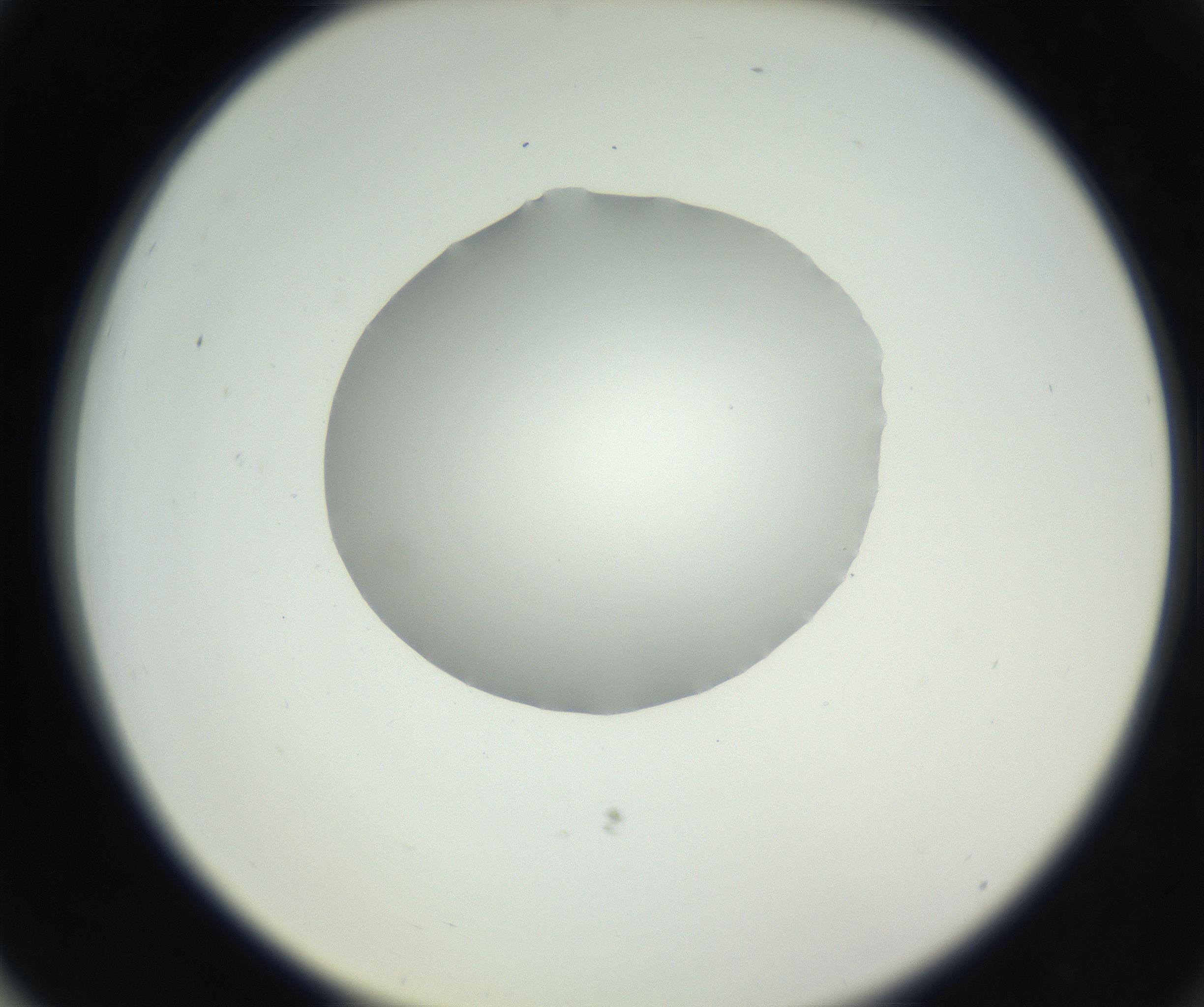 RI01_03_000_0212_Proj1_Clon1_MC_0000MC102636_003_160814_03_07_02_00_99_002_001_RAI.jpg
