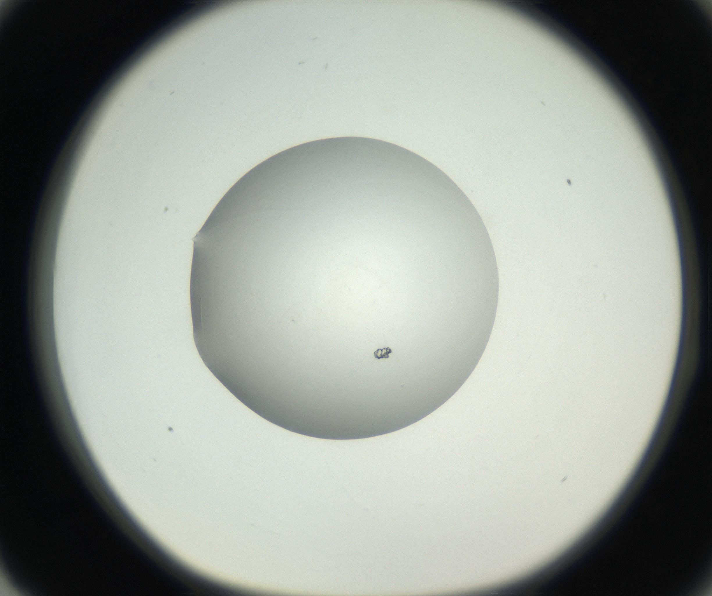 RI01_03_000_0212_Proj1_Clon1_MC_0000MC102636_003_160814_03_08_01_00_99_002_001_RAI.jpg