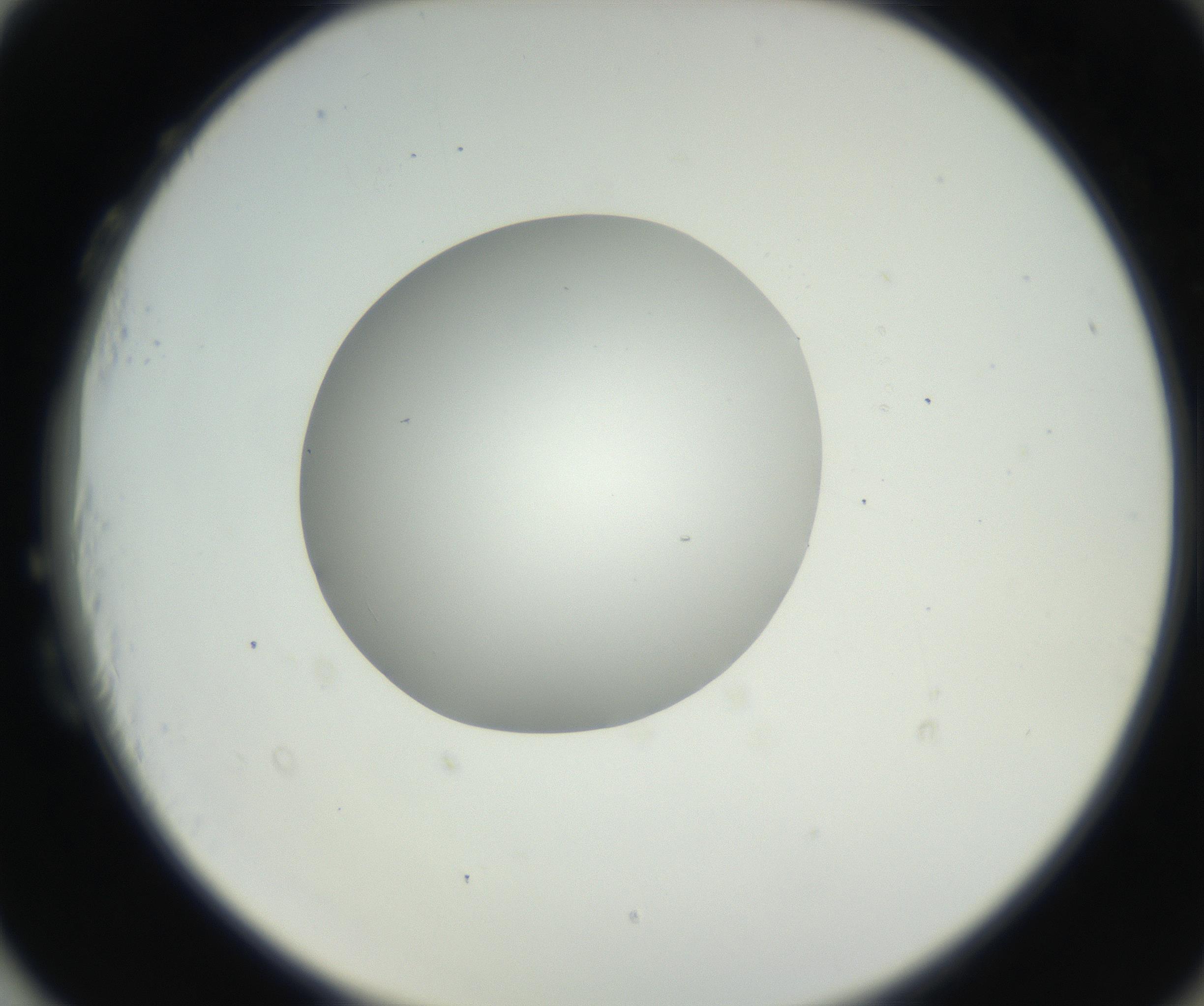 RI01_03_000_0212_Proj1_Clon1_MC_0000MC102636_003_160814_03_08_02_00_99_002_001_RAI.jpg