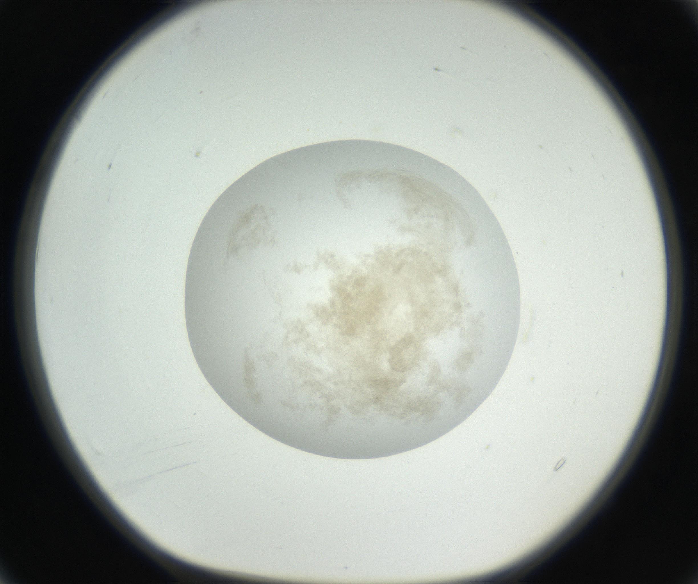 RI01_03_000_0212_Proj1_Clon1_MC_0000MC102636_003_160814_04_01_01_00_99_002_001_RAI.jpg