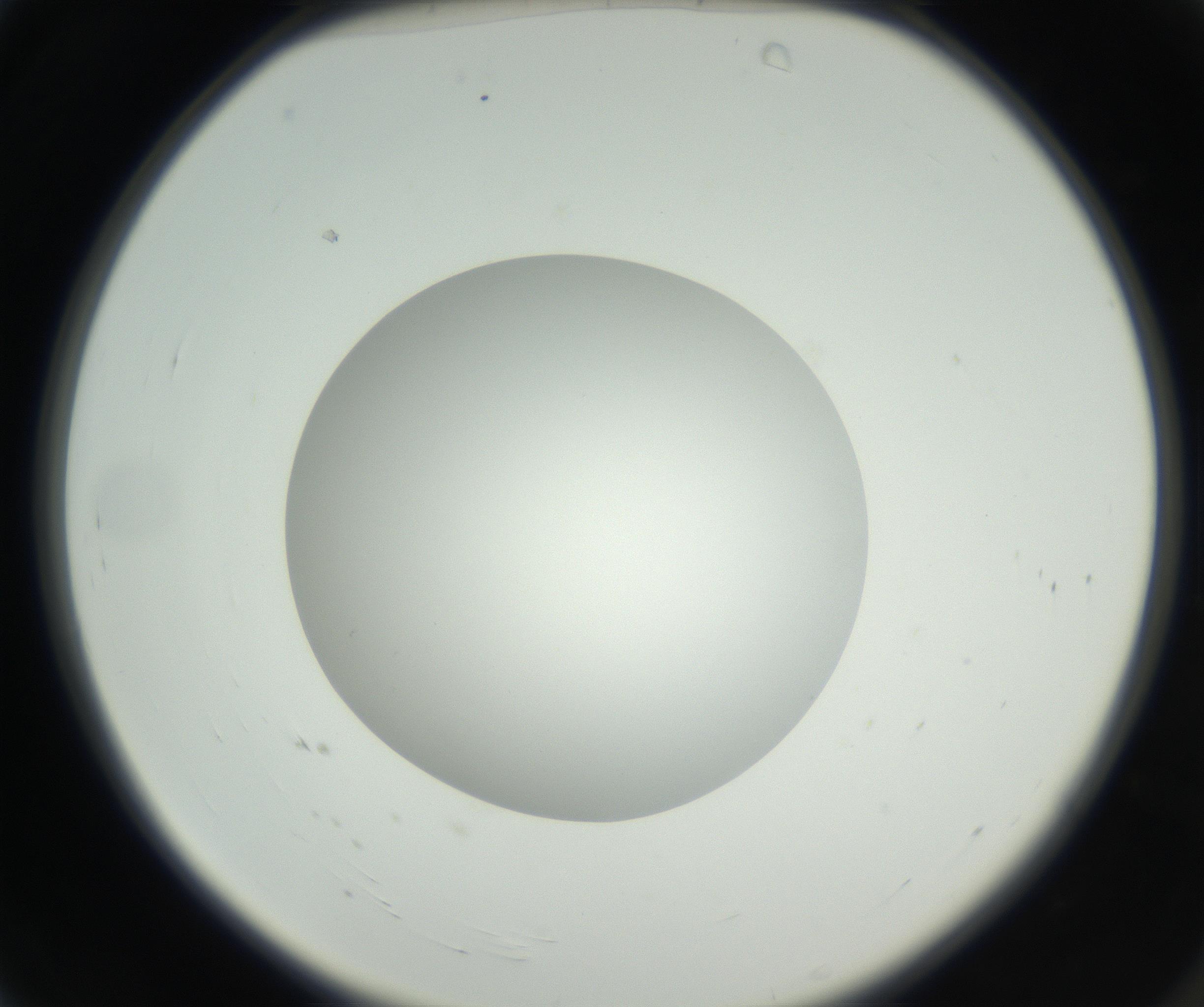 RI01_03_000_0212_Proj1_Clon1_MC_0000MC102636_003_160814_04_01_02_00_99_002_001_RAI.jpg