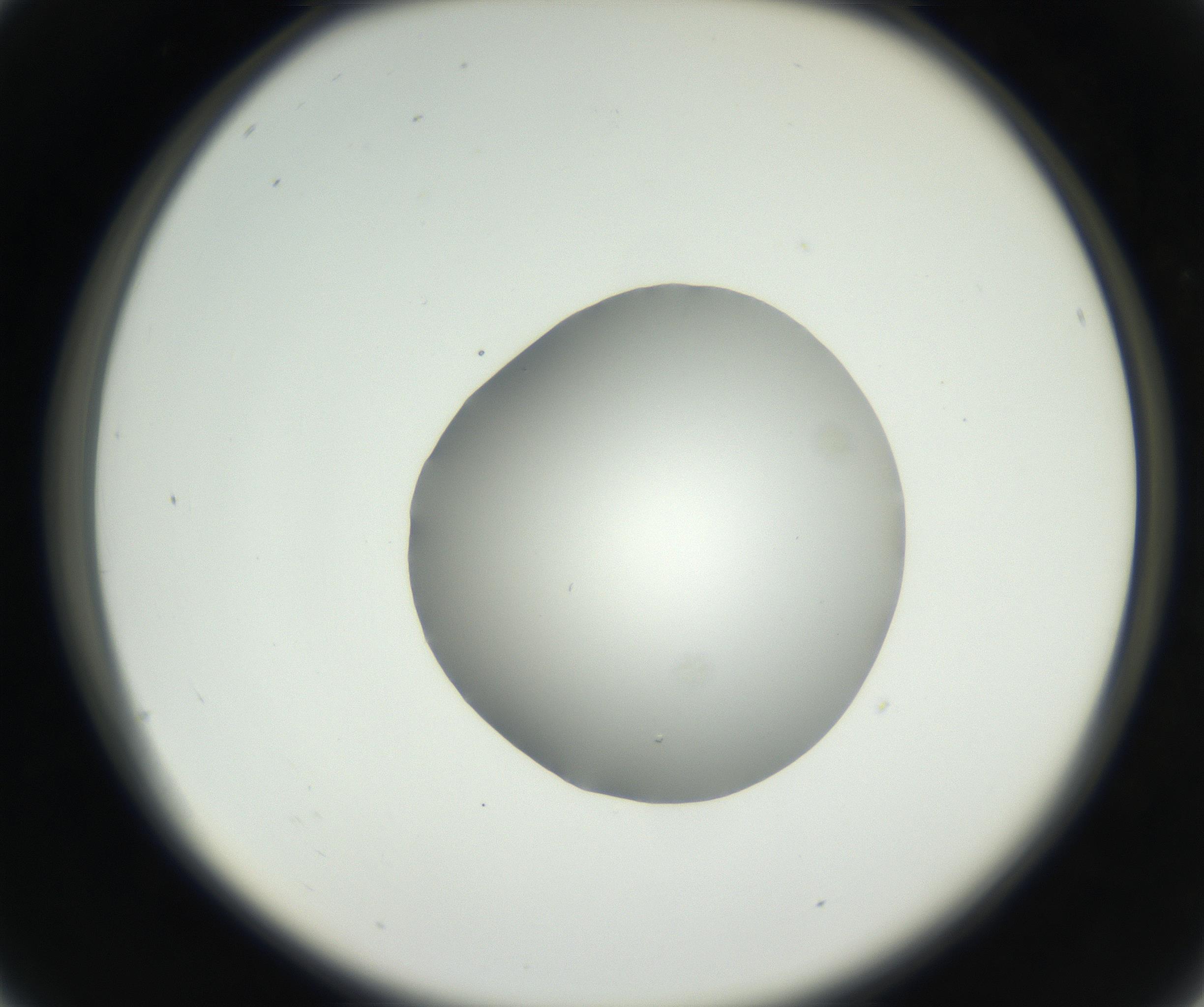 RI01_03_000_0212_Proj1_Clon1_MC_0000MC102636_003_160814_04_02_02_00_99_002_001_RAI.jpg
