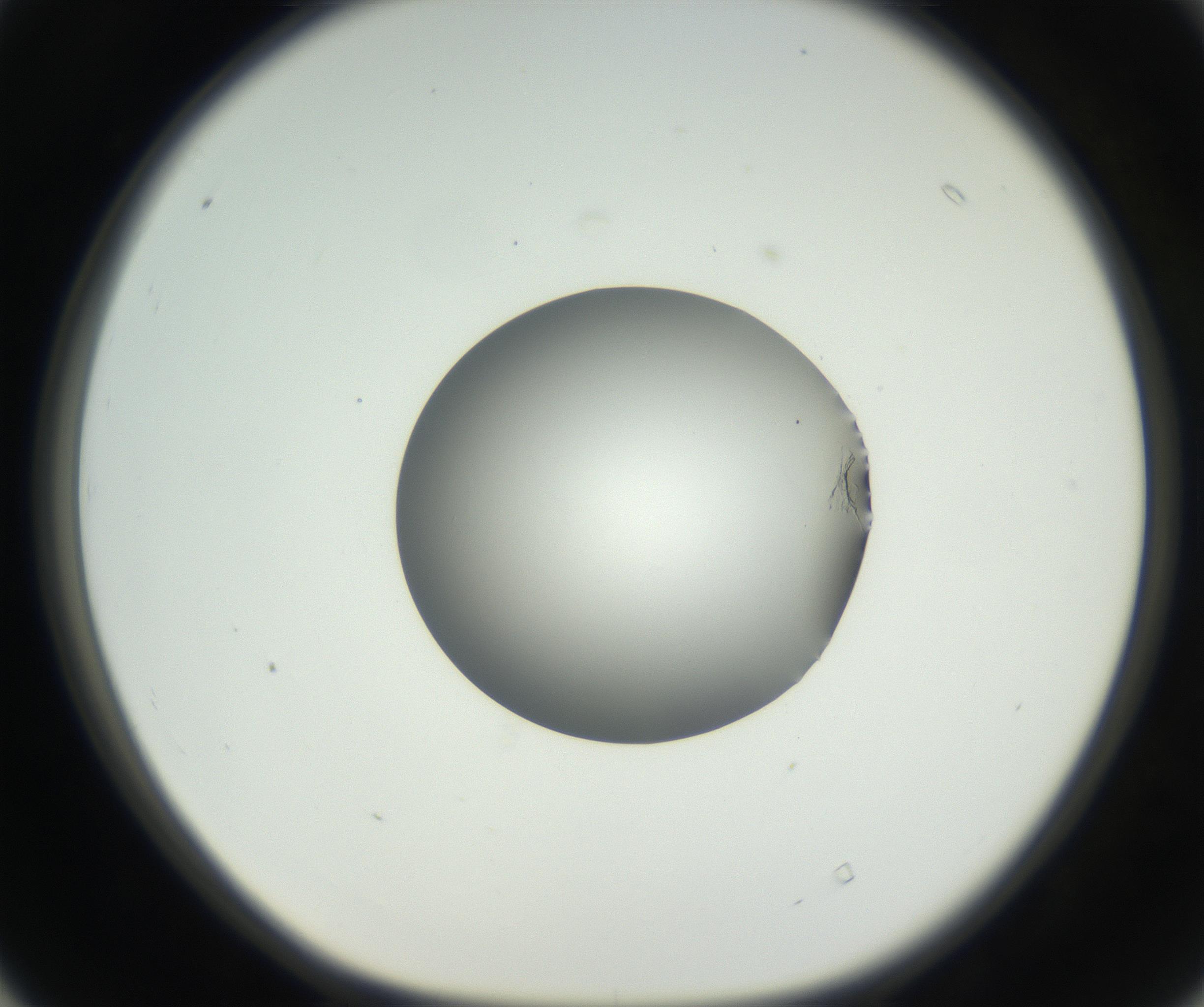 RI01_03_000_0212_Proj1_Clon1_MC_0000MC102636_003_160814_04_04_01_00_99_002_001_RAI.jpg