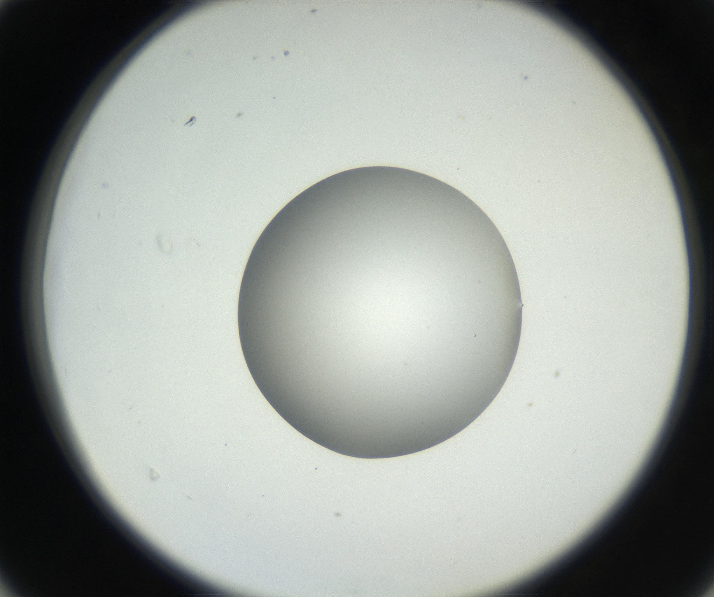 RI01_03_000_0212_Proj1_Clon1_MC_0000MC102636_003_160814_04_04_02_00_99_002_001_RAI.jpg