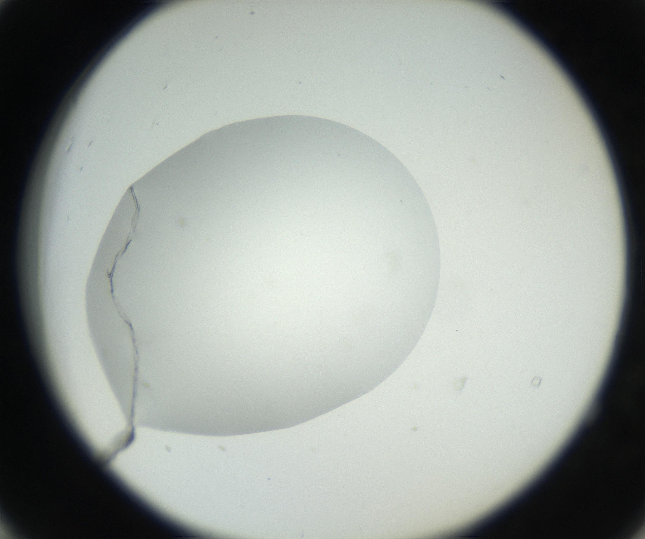RI01_03_000_0212_Proj1_Clon1_MC_0000MC102636_003_160814_04_05_02_00_99_002_001_RAI.jpg
