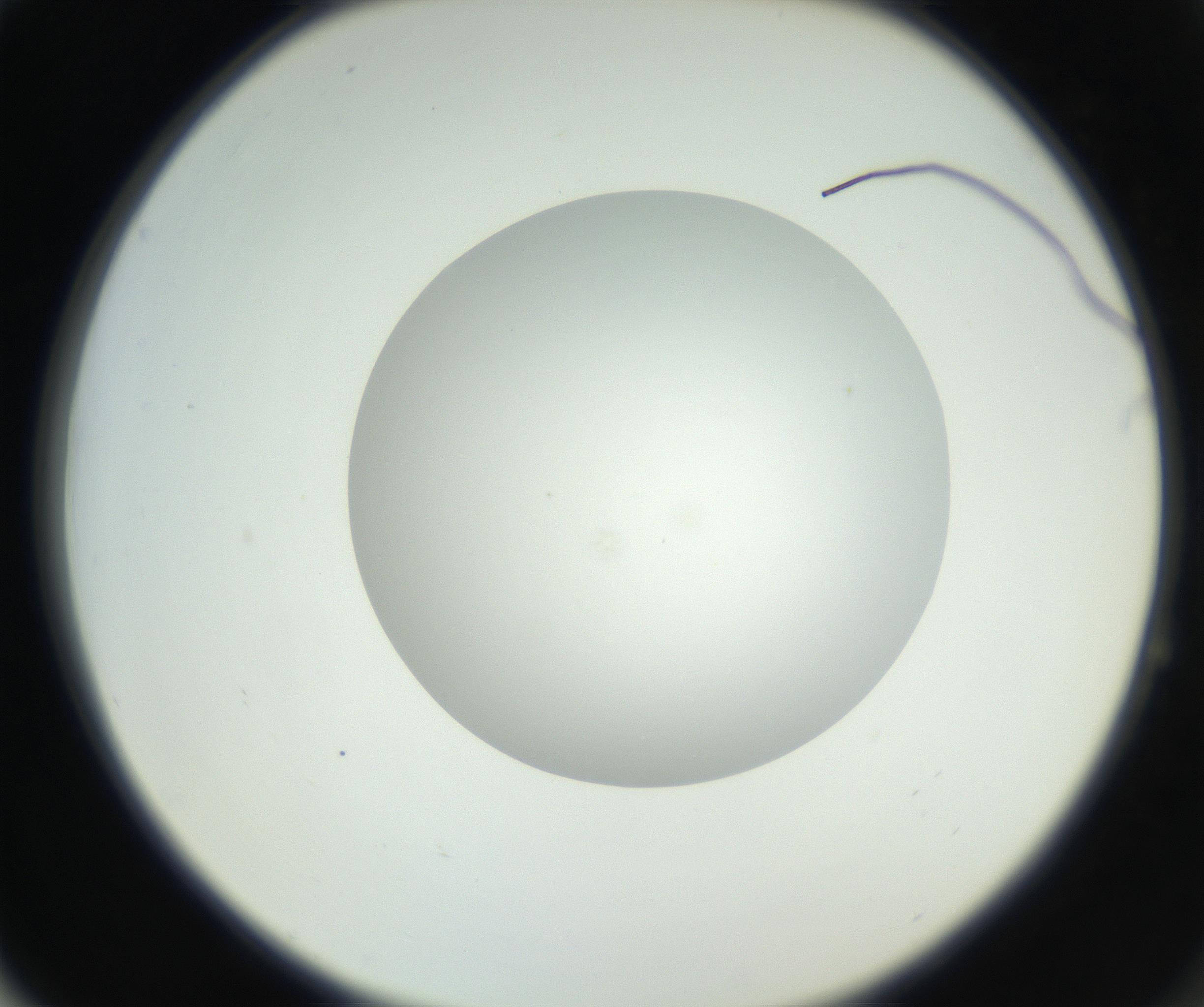 RI01_03_000_0212_Proj1_Clon1_MC_0000MC102636_003_160814_04_06_02_00_99_002_001_RAI.jpg
