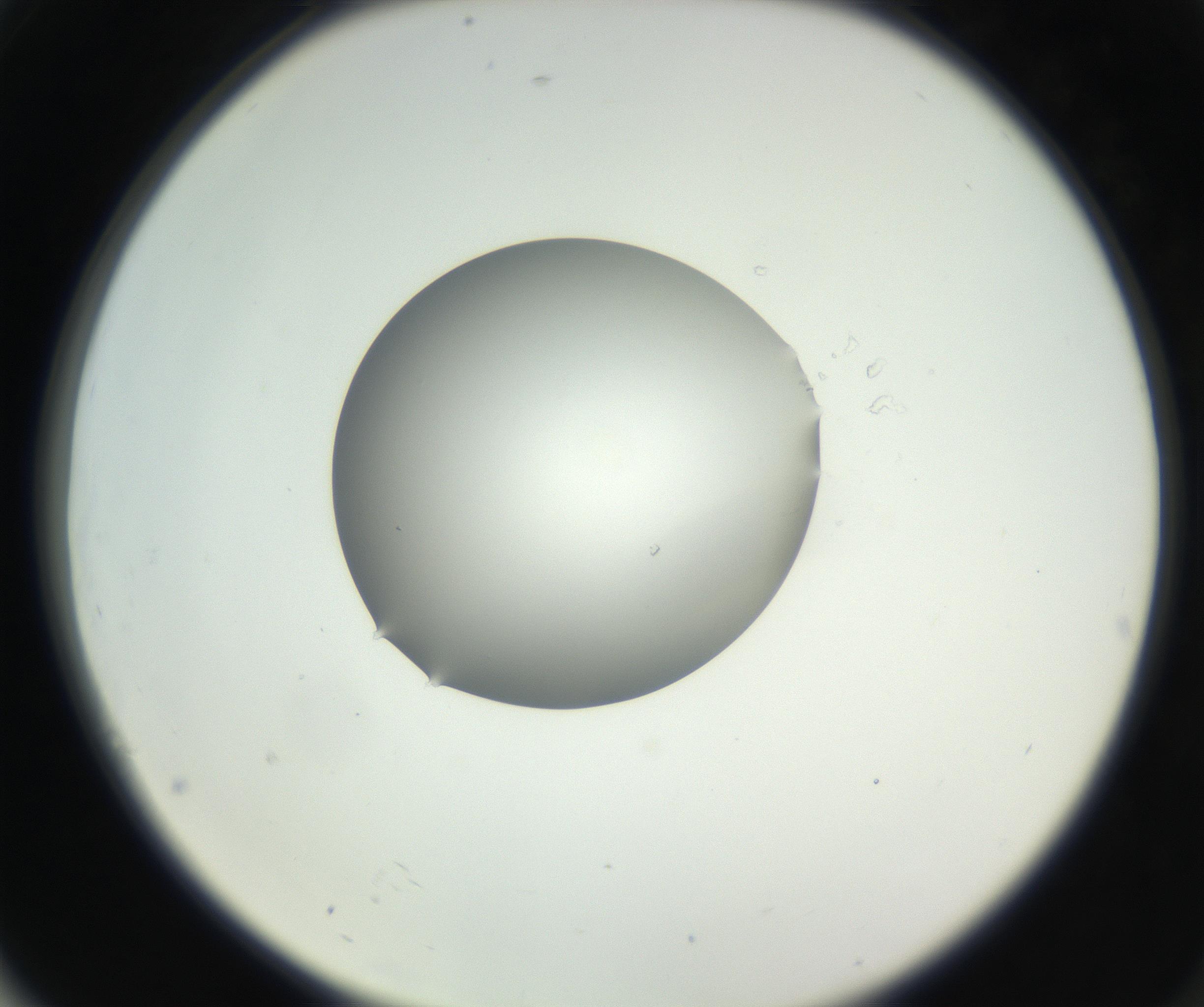 RI01_03_000_0212_Proj1_Clon1_MC_0000MC102636_003_160814_04_07_02_00_99_002_001_RAI.jpg