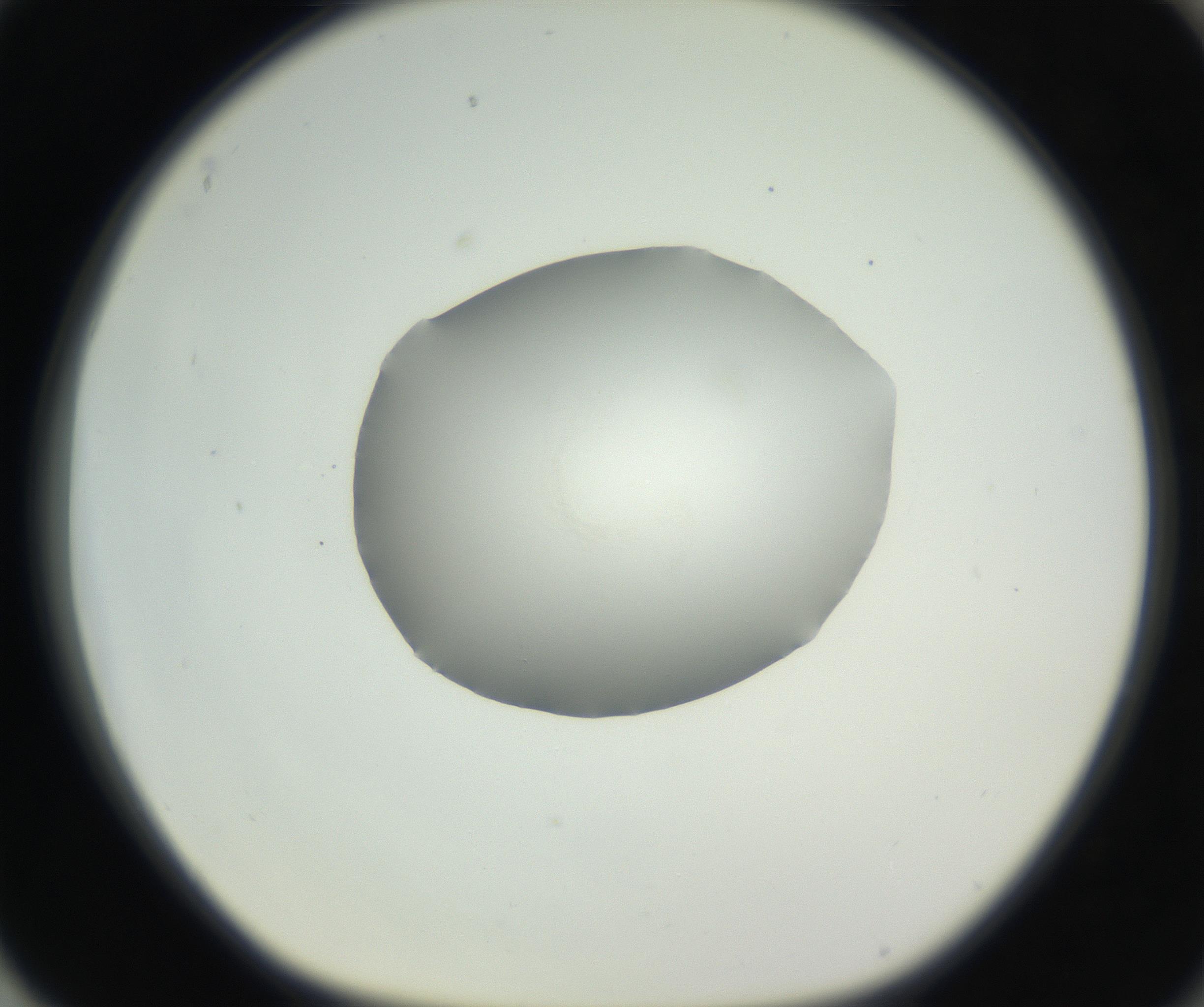 RI01_03_000_0212_Proj1_Clon1_MC_0000MC102636_003_160814_04_08_01_00_99_002_001_RAI.jpg
