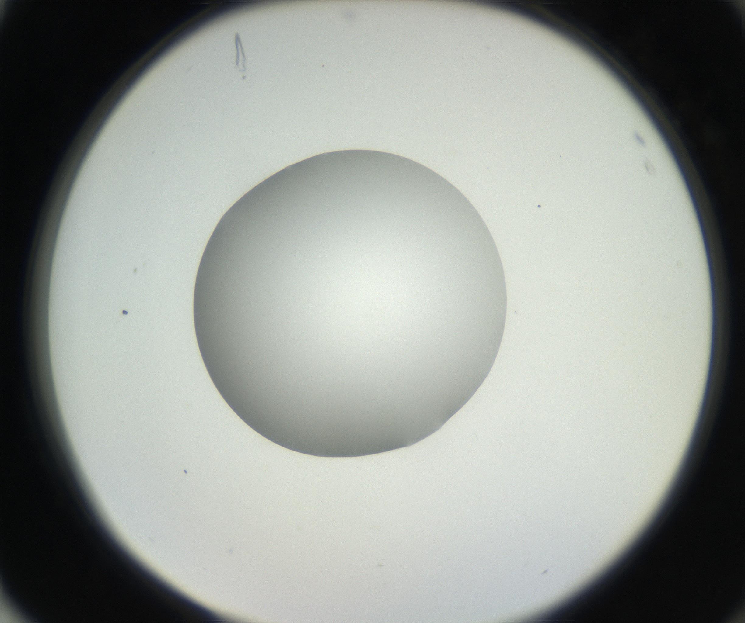 RI01_03_000_0212_Proj1_Clon1_MC_0000MC102636_003_160814_04_08_02_00_99_002_001_RAI.jpg