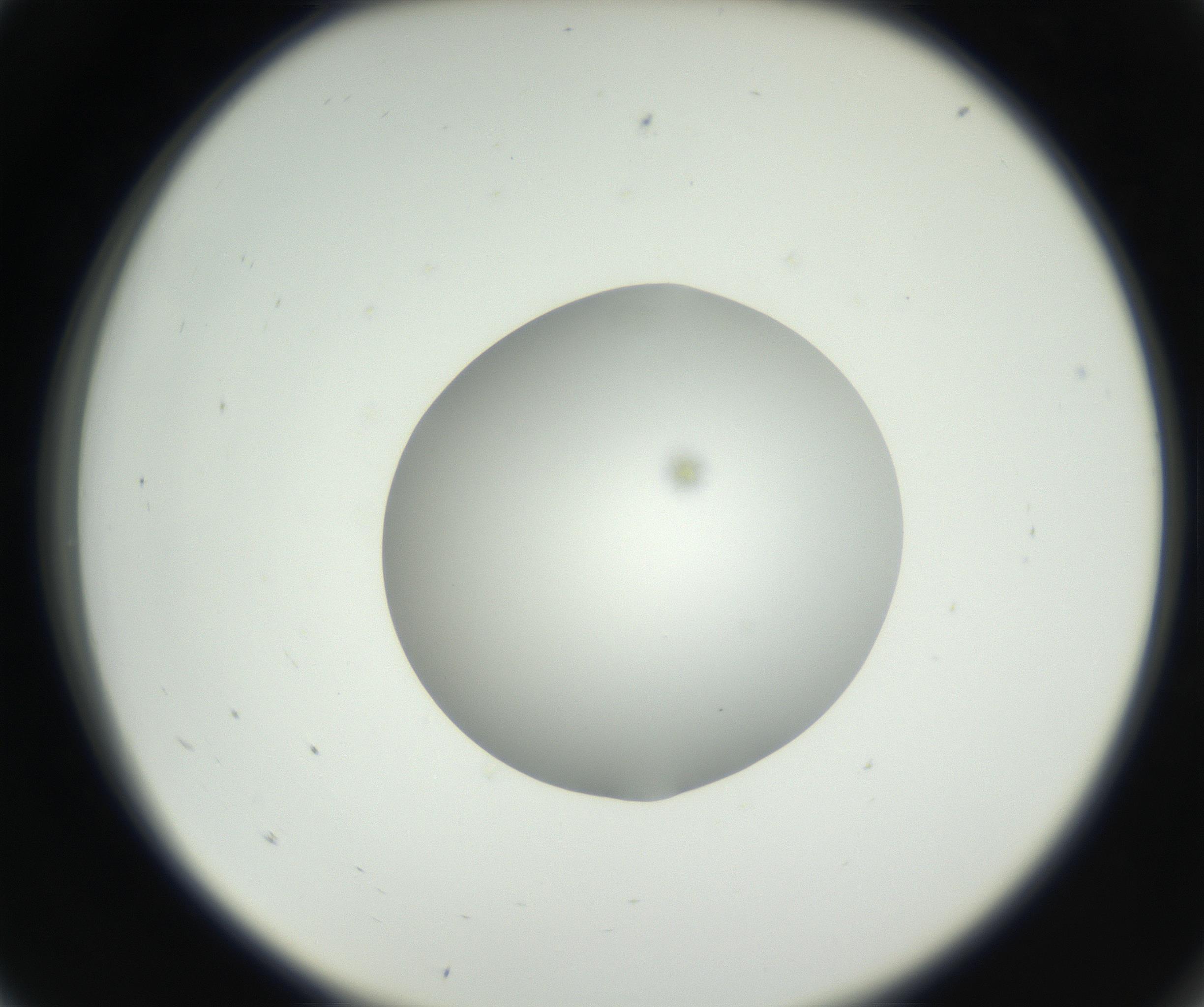 RI01_03_000_0212_Proj1_Clon1_MC_0000MC102636_003_160814_05_01_02_00_99_002_001_RAI.jpg