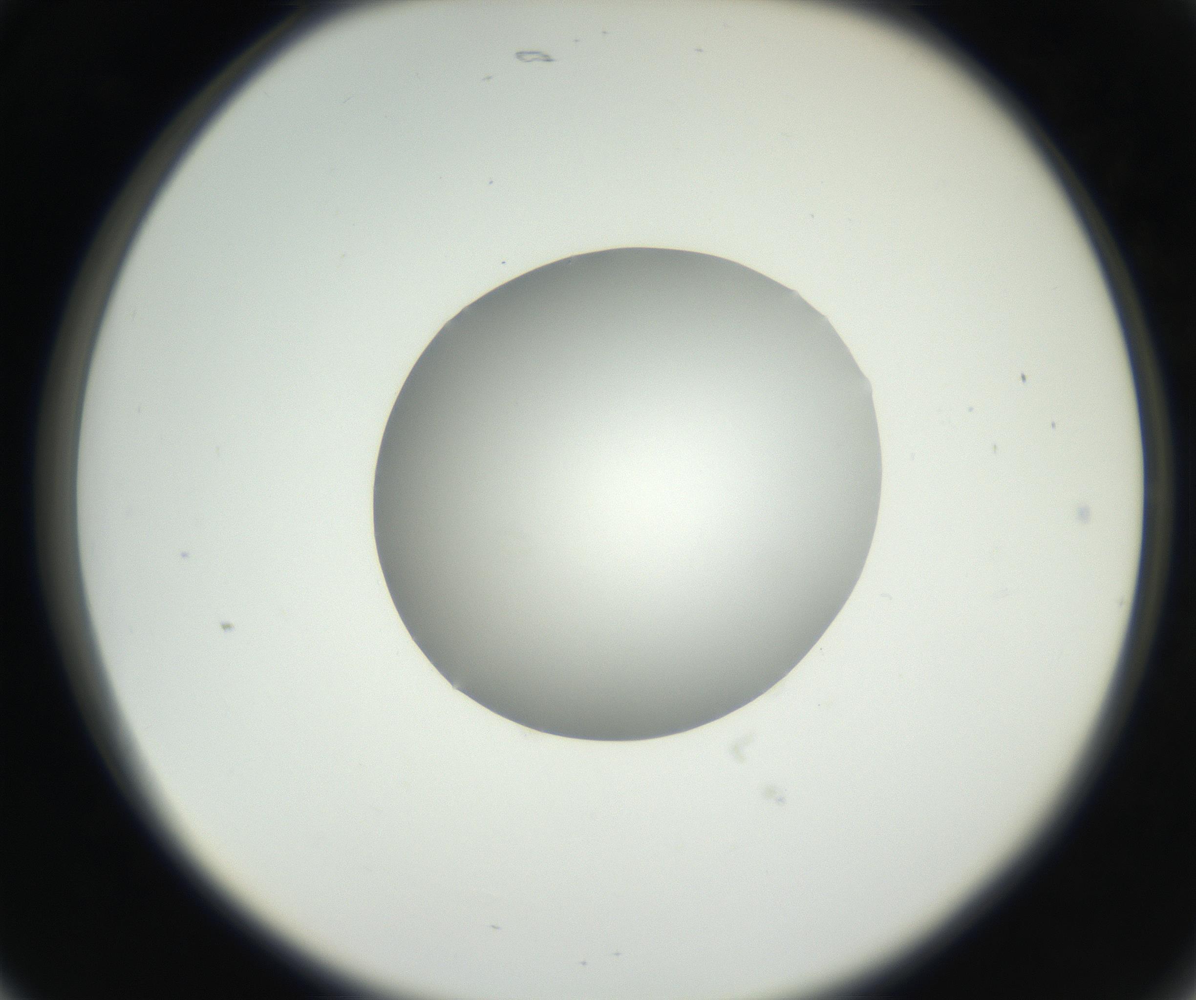 RI01_03_000_0212_Proj1_Clon1_MC_0000MC102636_003_160814_05_02_02_00_99_002_001_RAI.jpg
