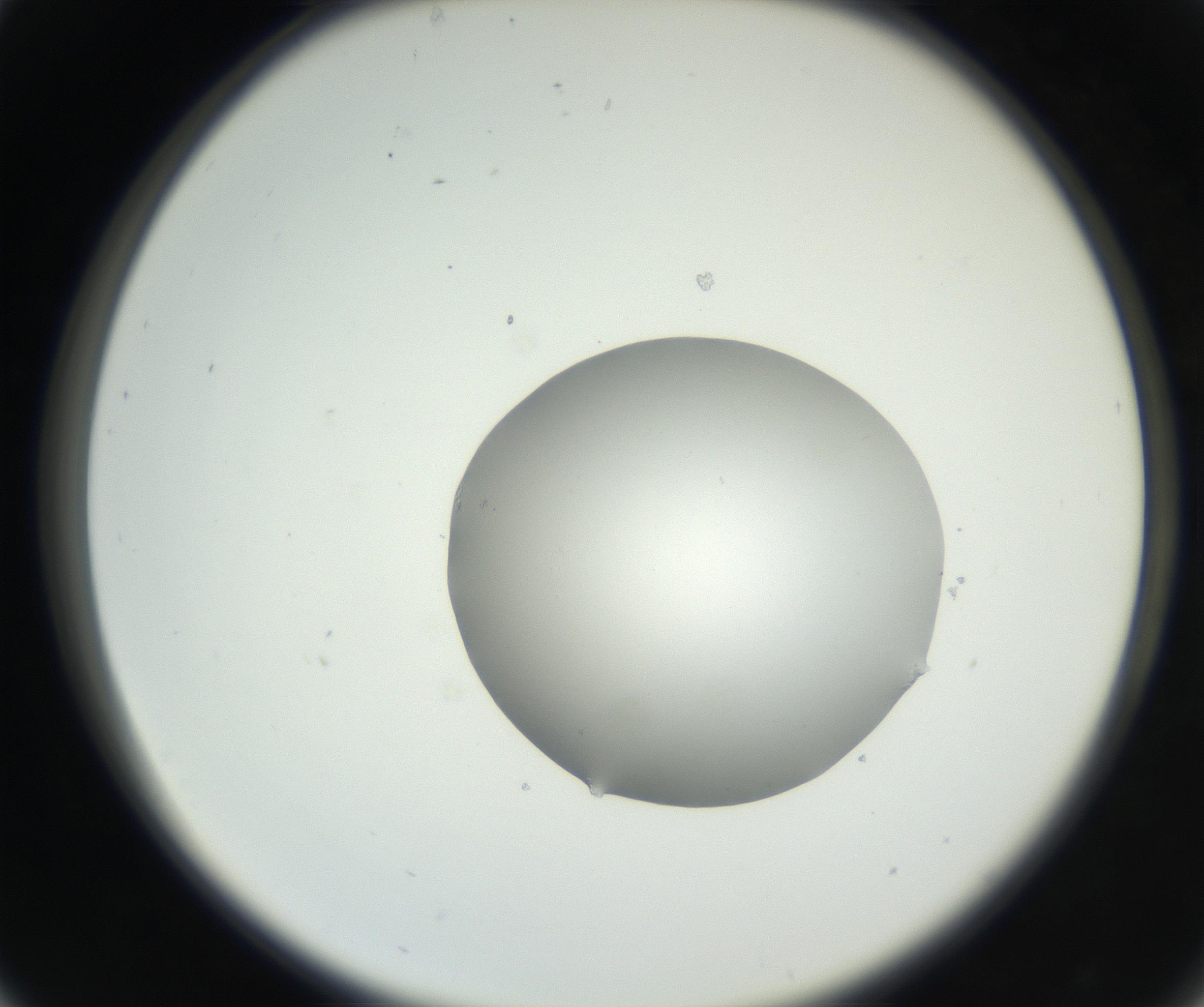 RI01_03_000_0212_Proj1_Clon1_MC_0000MC102636_003_160814_05_03_02_00_99_002_001_RAI.jpg