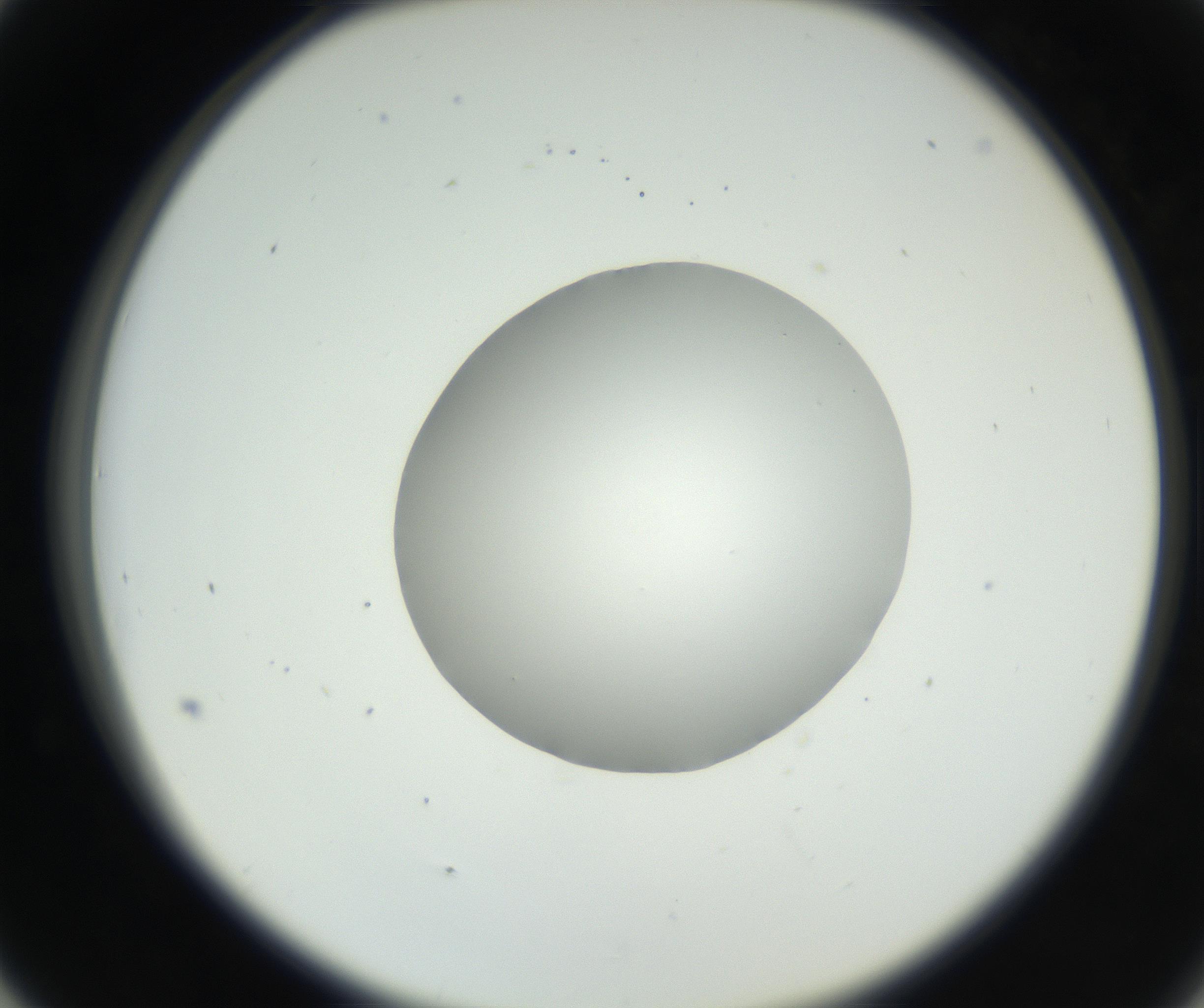 RI01_03_000_0212_Proj1_Clon1_MC_0000MC102636_003_160814_05_04_02_00_99_002_001_RAI.jpg
