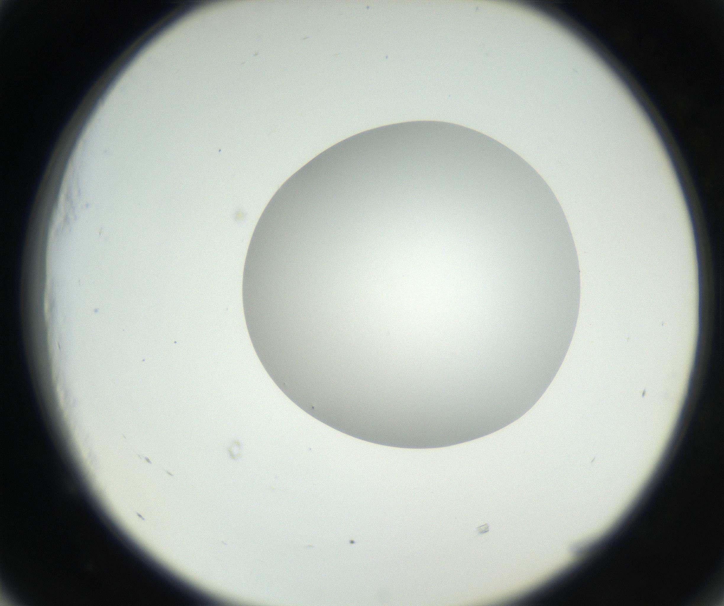 RI01_03_000_0212_Proj1_Clon1_MC_0000MC102636_003_160814_05_05_02_00_99_002_001_RAI.jpg