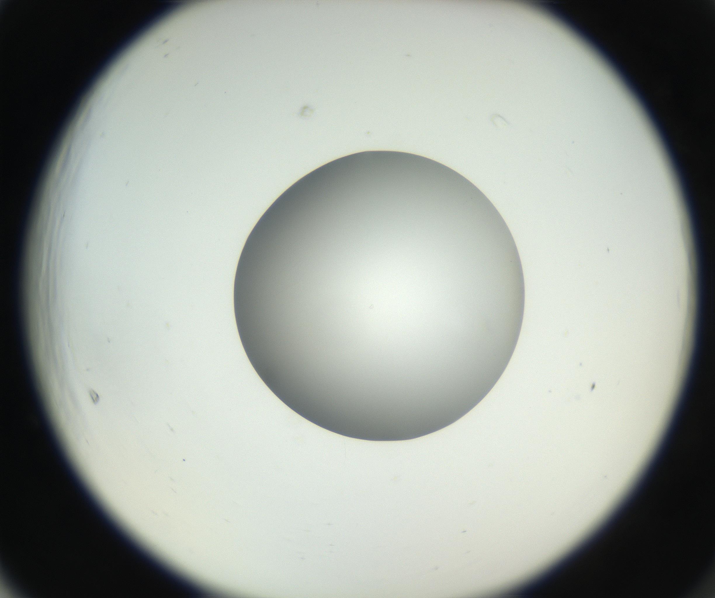 RI01_03_000_0212_Proj1_Clon1_MC_0000MC102636_003_160814_05_06_02_00_99_002_001_RAI.jpg