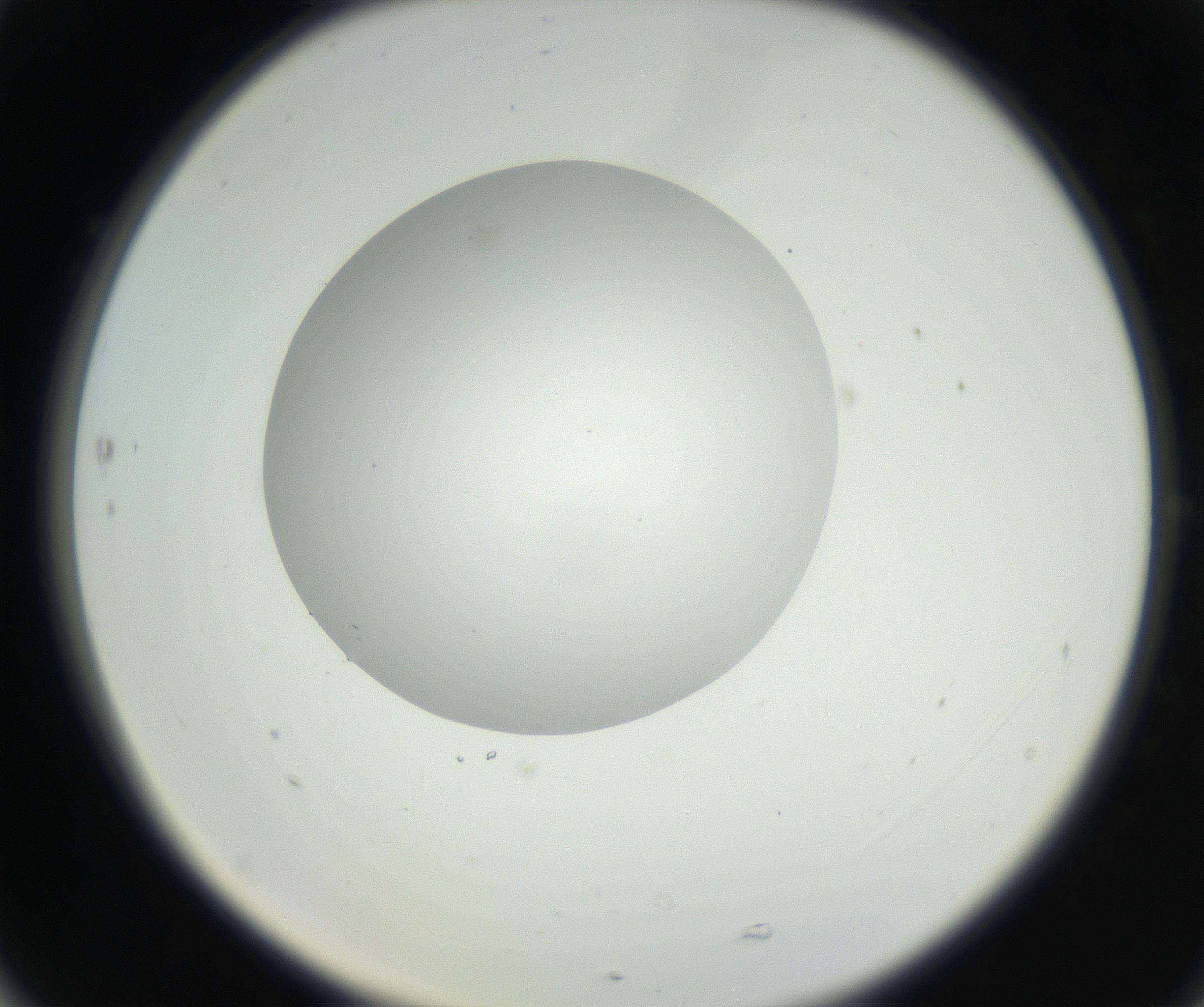 RI01_03_000_0212_Proj1_Clon1_MC_0000MC102636_003_160814_05_07_02_00_99_002_001_RAI.jpg