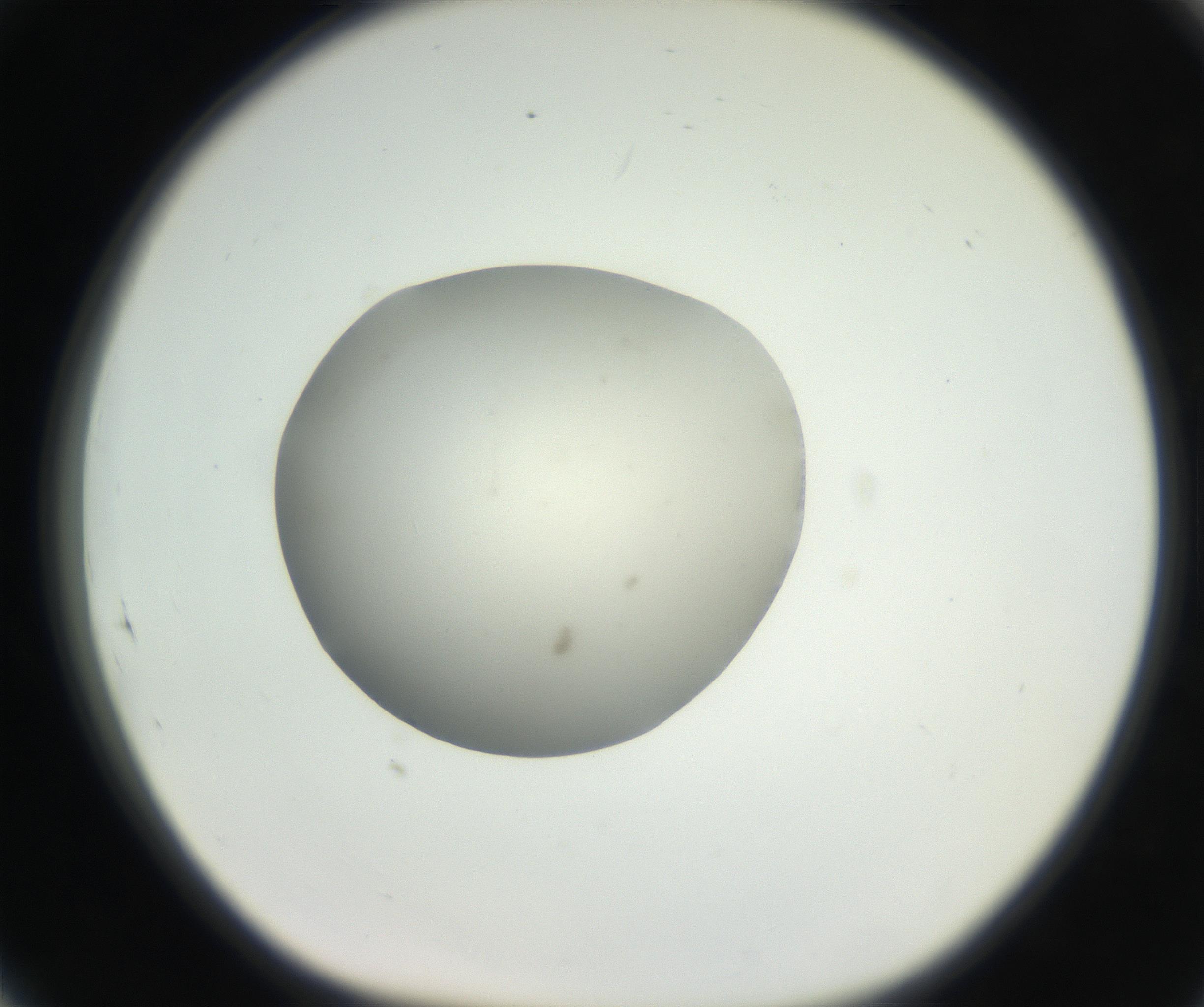 RI01_03_000_0212_Proj1_Clon1_MC_0000MC102636_003_160814_05_08_01_00_99_002_001_RAI.jpg