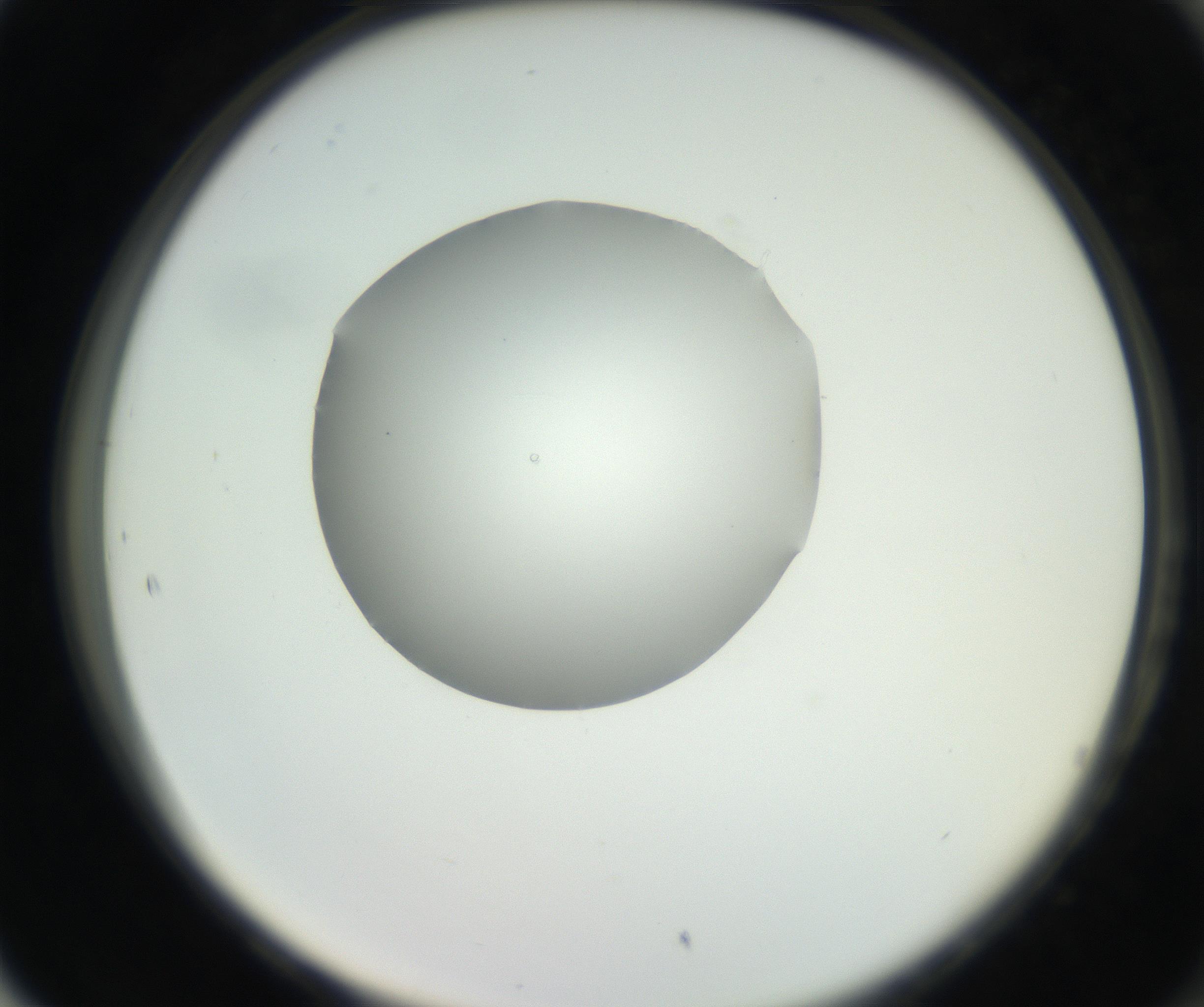 RI01_03_000_0212_Proj1_Clon1_MC_0000MC102636_003_160814_05_08_02_00_99_002_001_RAI.jpg
