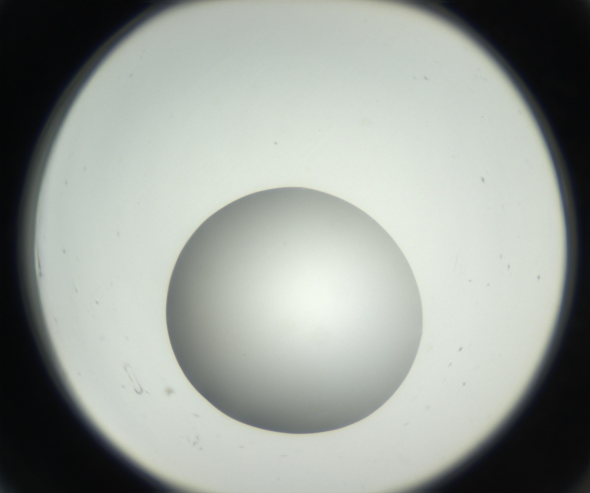 RI01_03_000_0212_Proj1_Clon1_MC_0000MC102636_003_160814_06_01_02_00_99_002_001_RAI.jpg