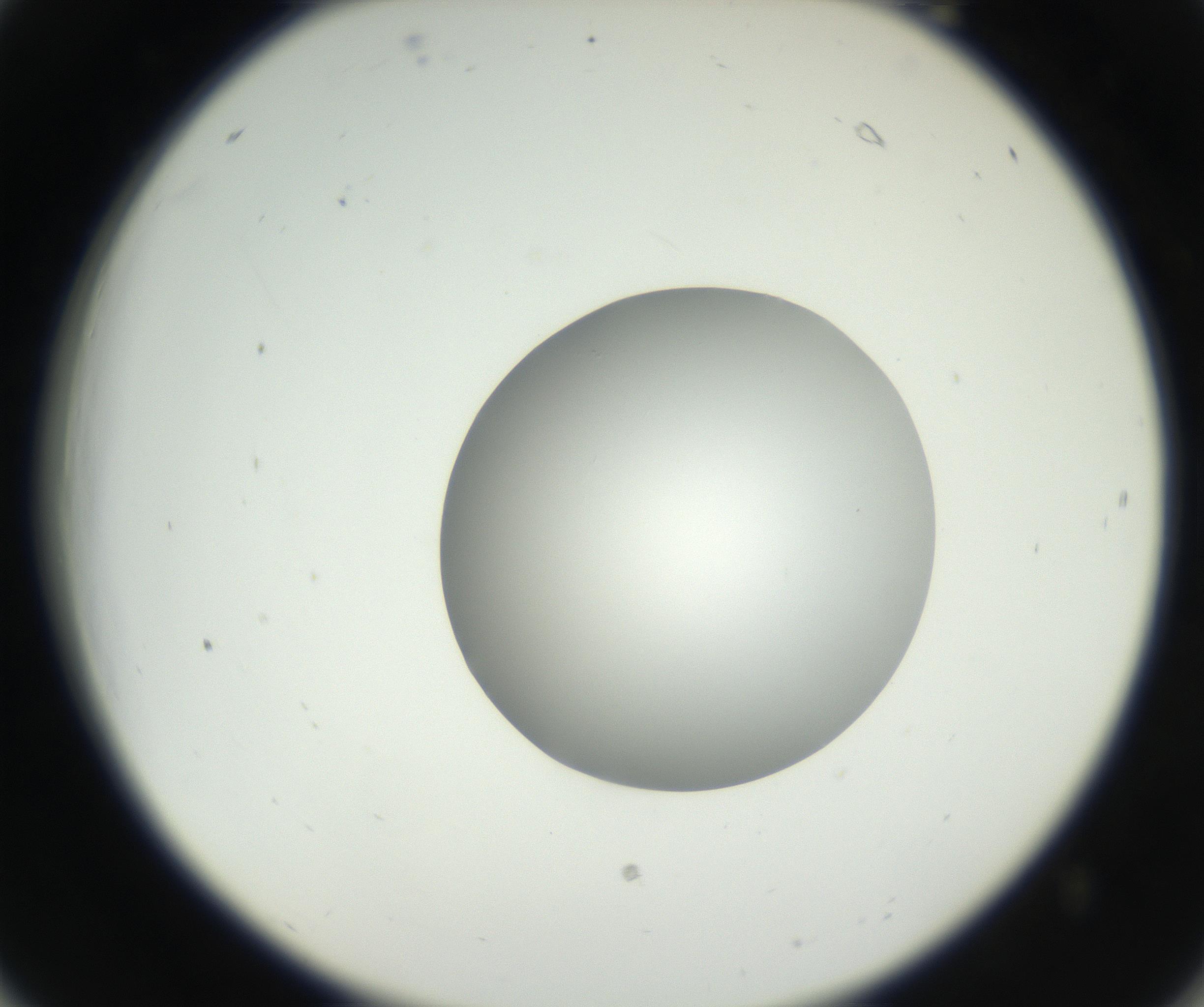 RI01_03_000_0212_Proj1_Clon1_MC_0000MC102636_003_160814_06_02_02_00_99_002_001_RAI.jpg