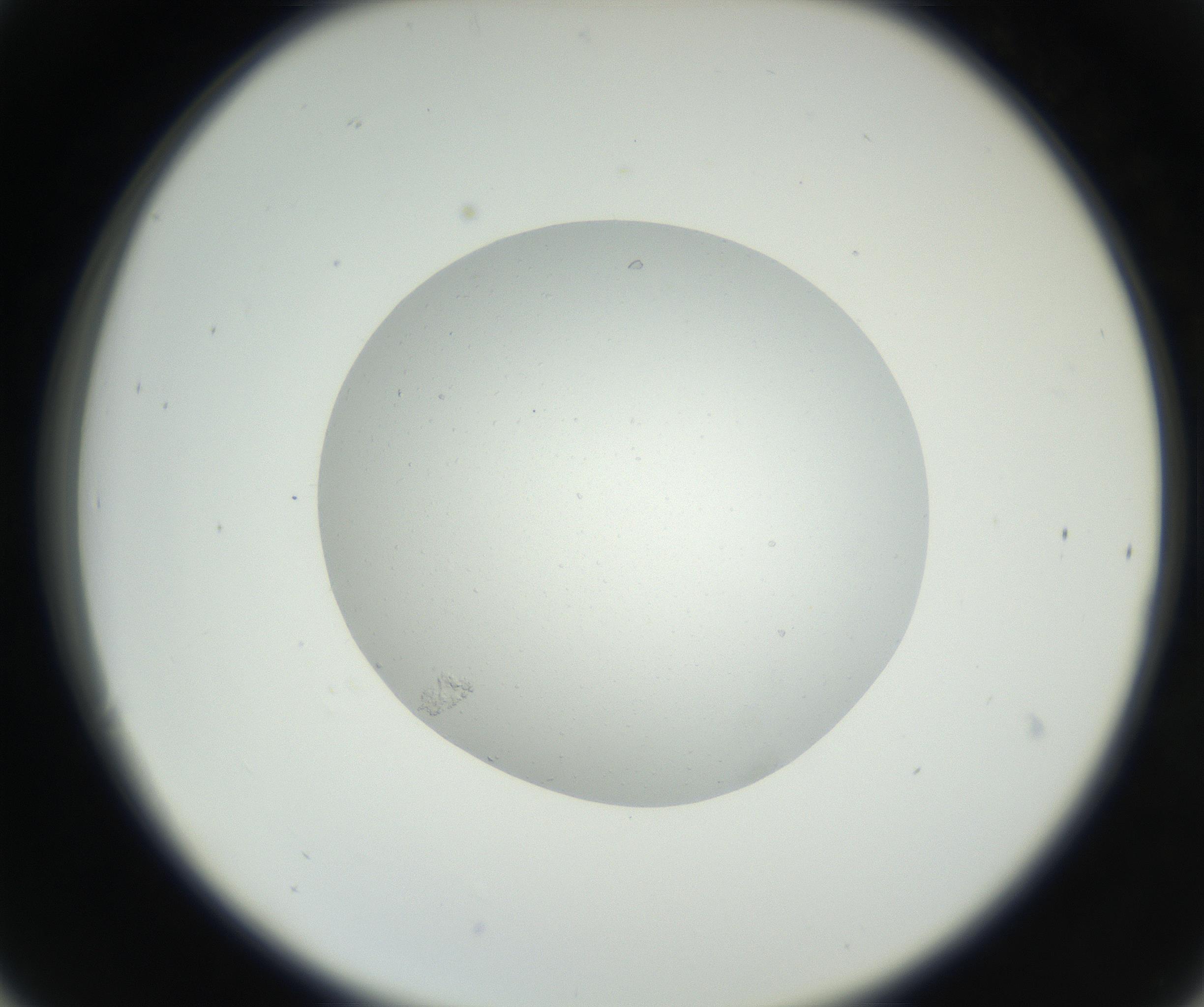 RI01_03_000_0212_Proj1_Clon1_MC_0000MC102636_003_160814_06_03_02_00_99_002_001_RAI.jpg