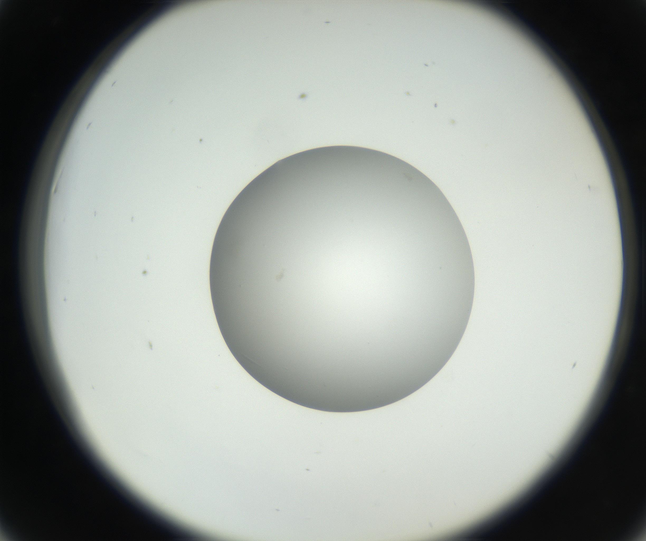 RI01_03_000_0212_Proj1_Clon1_MC_0000MC102636_003_160814_06_04_02_00_99_002_001_RAI.jpg