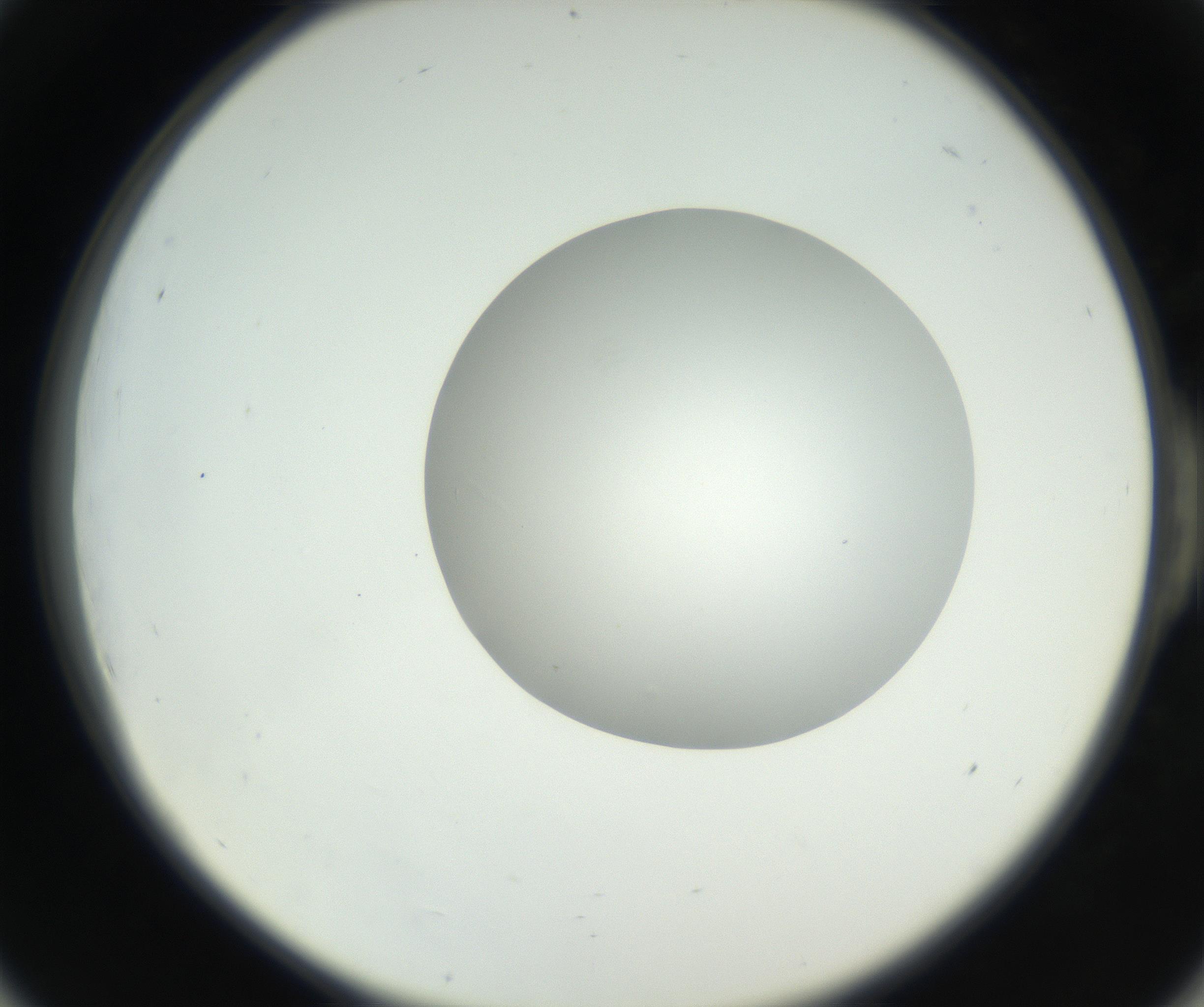 RI01_03_000_0212_Proj1_Clon1_MC_0000MC102636_003_160814_06_05_02_00_99_002_001_RAI.jpg
