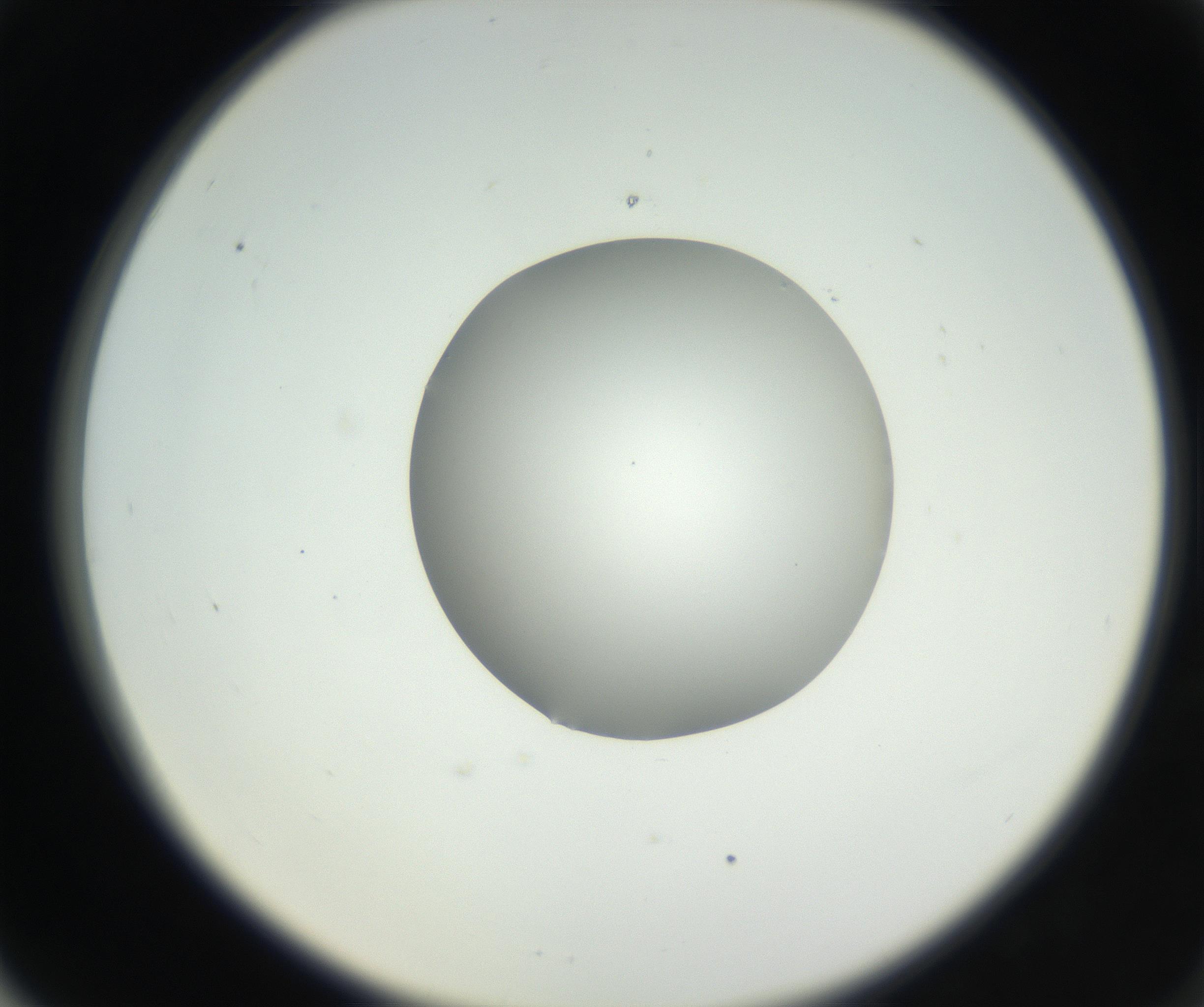 RI01_03_000_0212_Proj1_Clon1_MC_0000MC102636_003_160814_06_06_02_00_99_002_001_RAI.jpg
