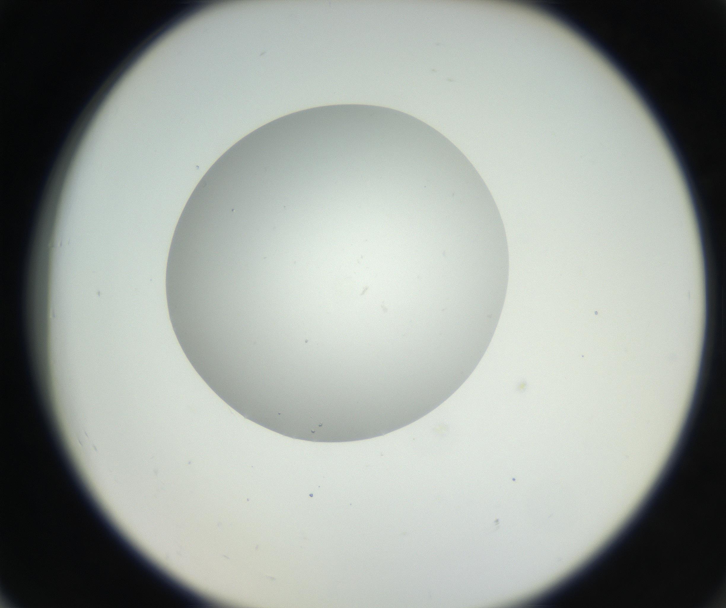 RI01_03_000_0212_Proj1_Clon1_MC_0000MC102636_003_160814_06_07_02_00_99_002_001_RAI.jpg