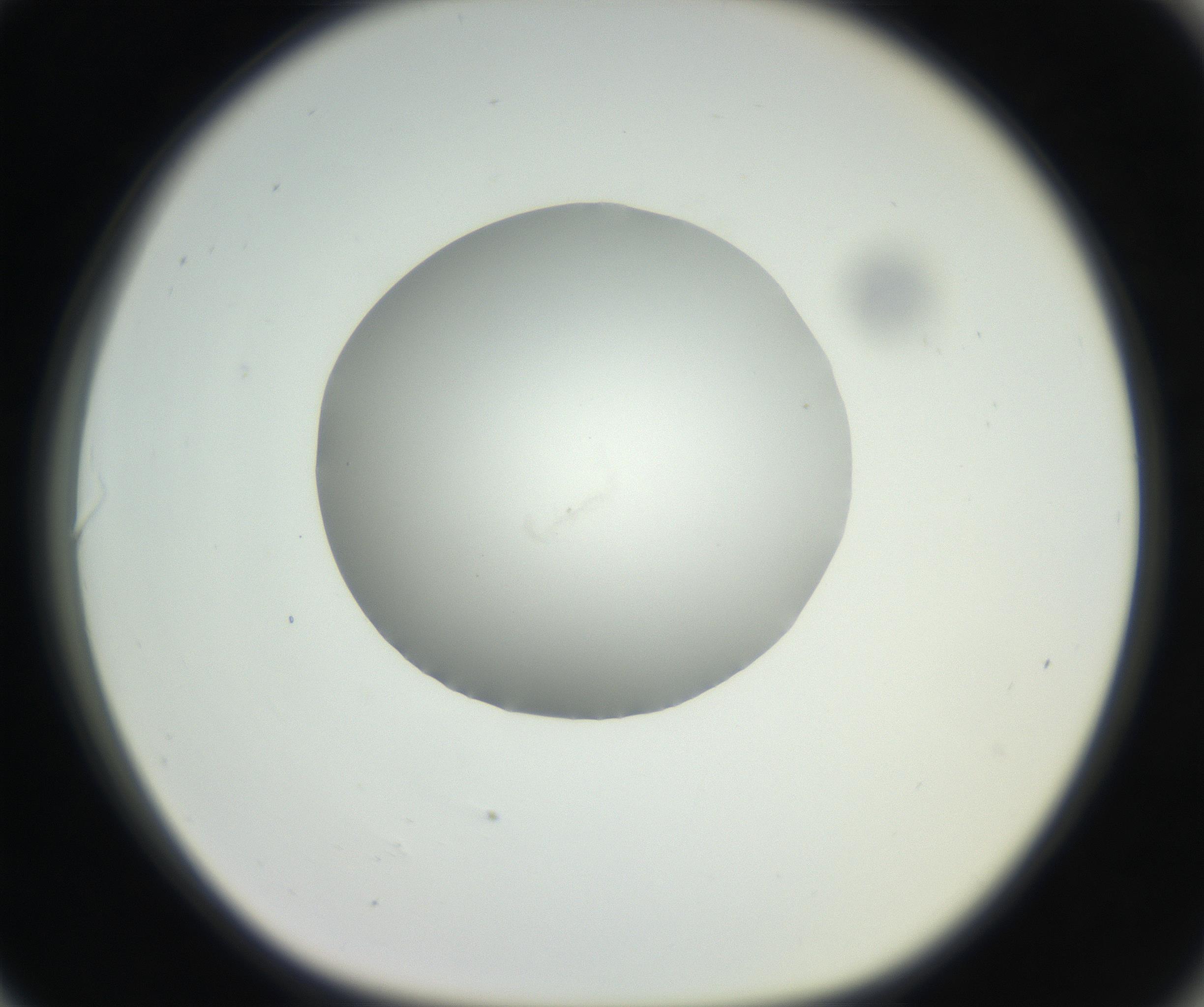 RI01_03_000_0212_Proj1_Clon1_MC_0000MC102636_003_160814_06_08_01_00_99_002_001_RAI.jpg