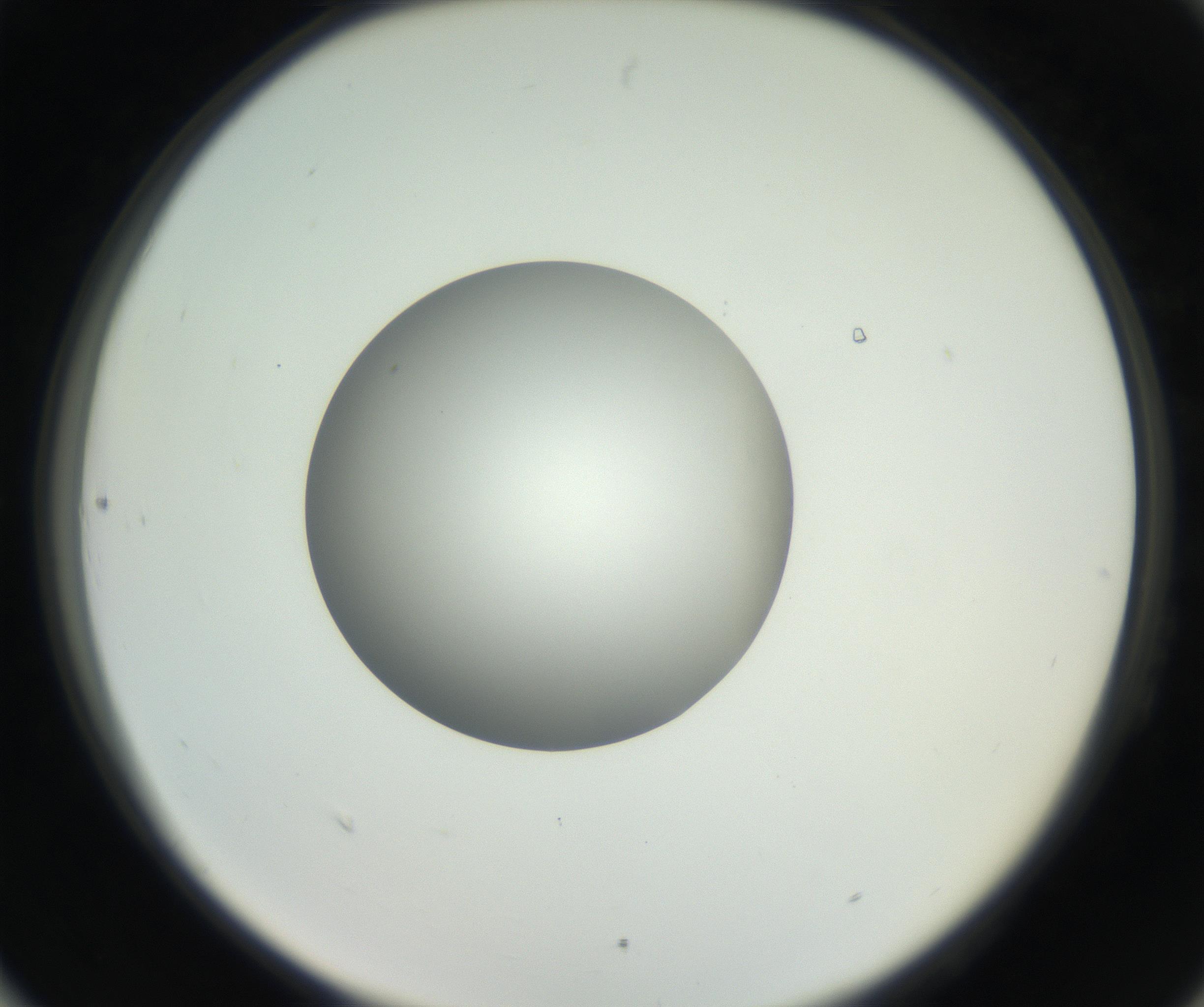 RI01_03_000_0212_Proj1_Clon1_MC_0000MC102636_003_160814_06_08_02_00_99_002_001_RAI.jpg