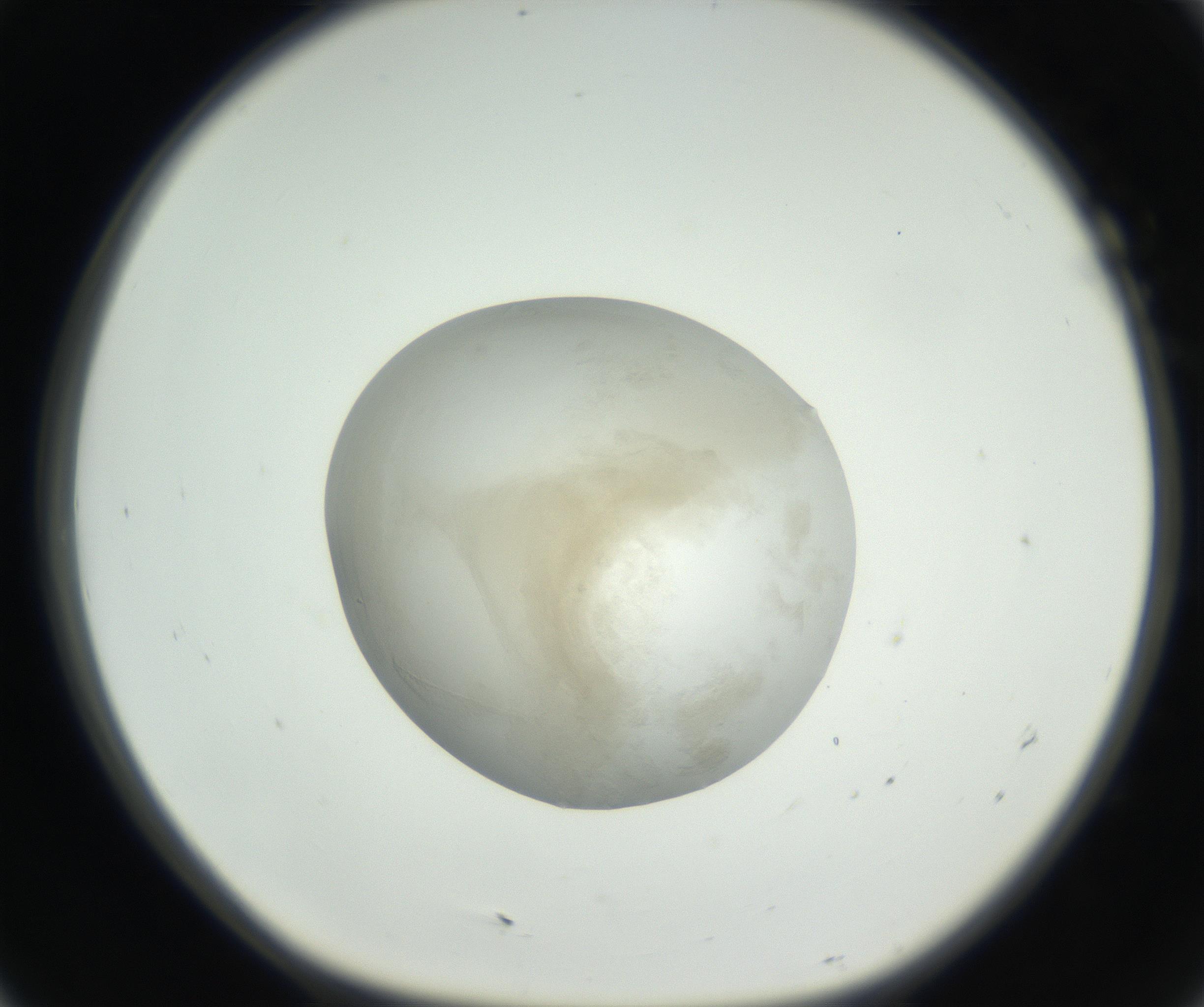 RI01_03_000_0212_Proj1_Clon1_MC_0000MC102636_003_160814_07_01_01_00_99_002_001_RAI.jpg