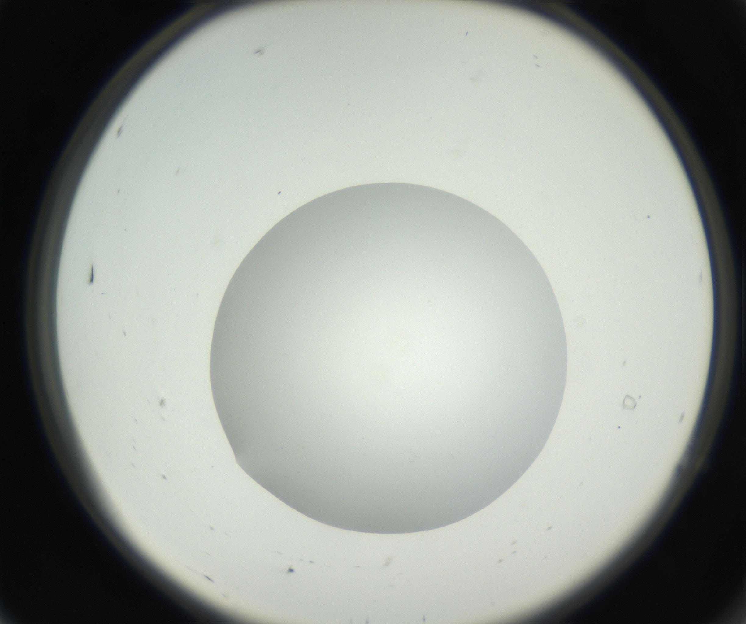 RI01_03_000_0212_Proj1_Clon1_MC_0000MC102636_003_160814_07_01_02_00_99_002_001_RAI.jpg