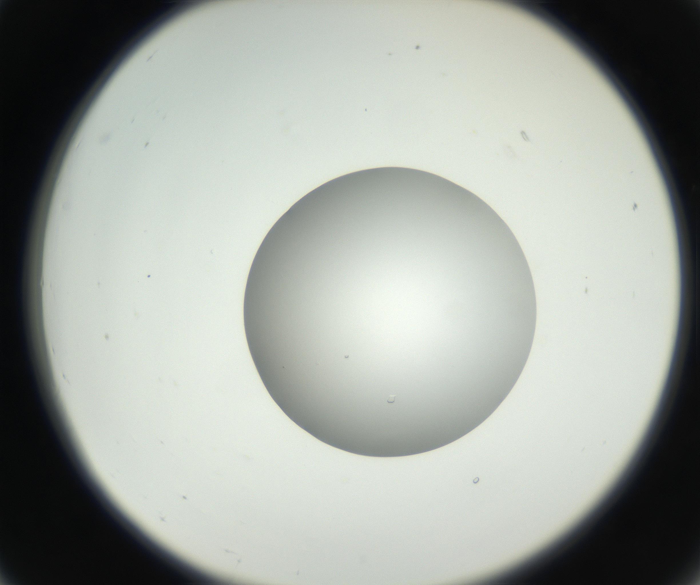 RI01_03_000_0212_Proj1_Clon1_MC_0000MC102636_003_160814_07_02_02_00_99_002_001_RAI.jpg