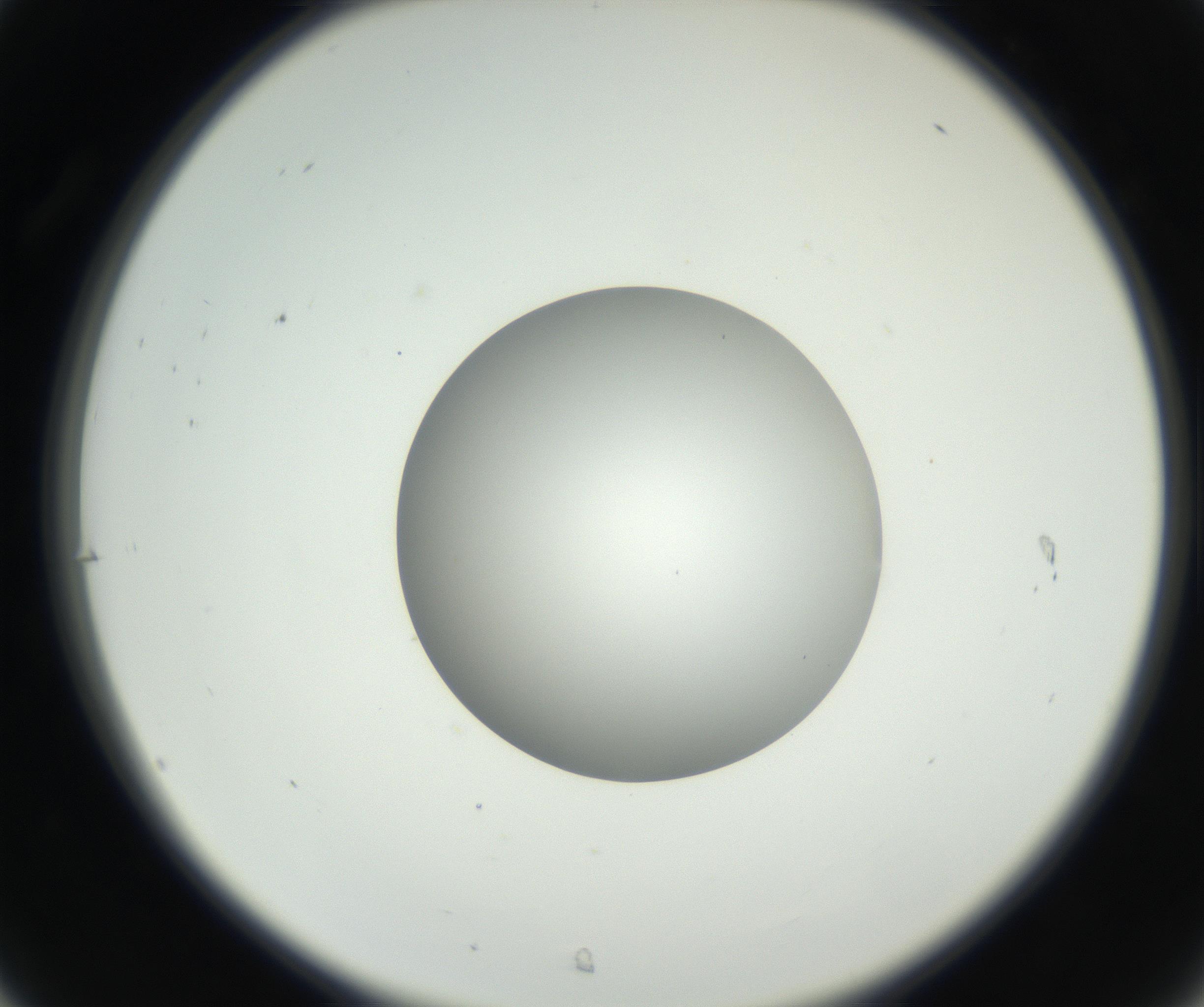 RI01_03_000_0212_Proj1_Clon1_MC_0000MC102636_003_160814_07_03_02_00_99_002_001_RAI.jpg