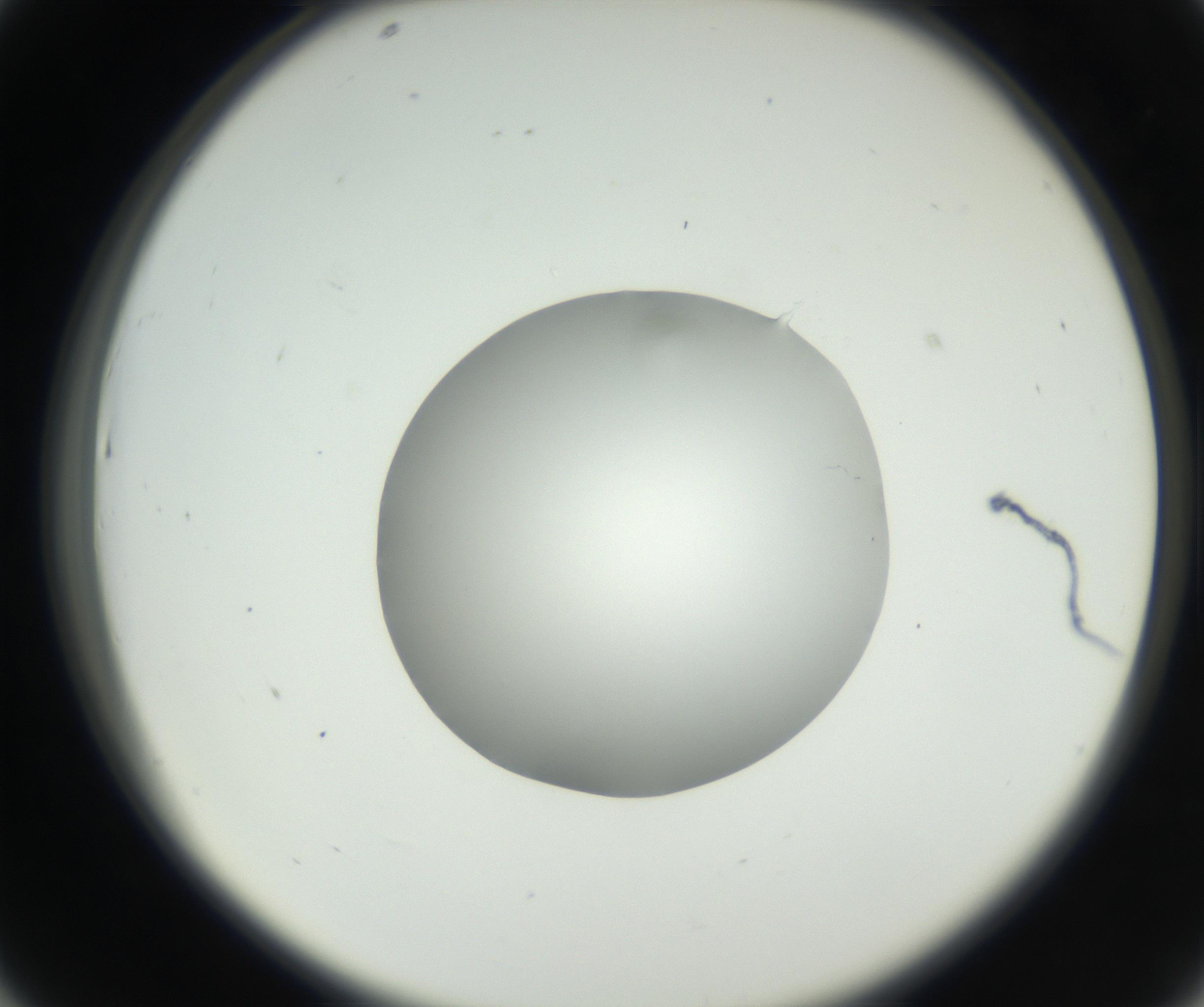 RI01_03_000_0212_Proj1_Clon1_MC_0000MC102636_003_160814_07_04_02_00_99_002_001_RAI.jpg