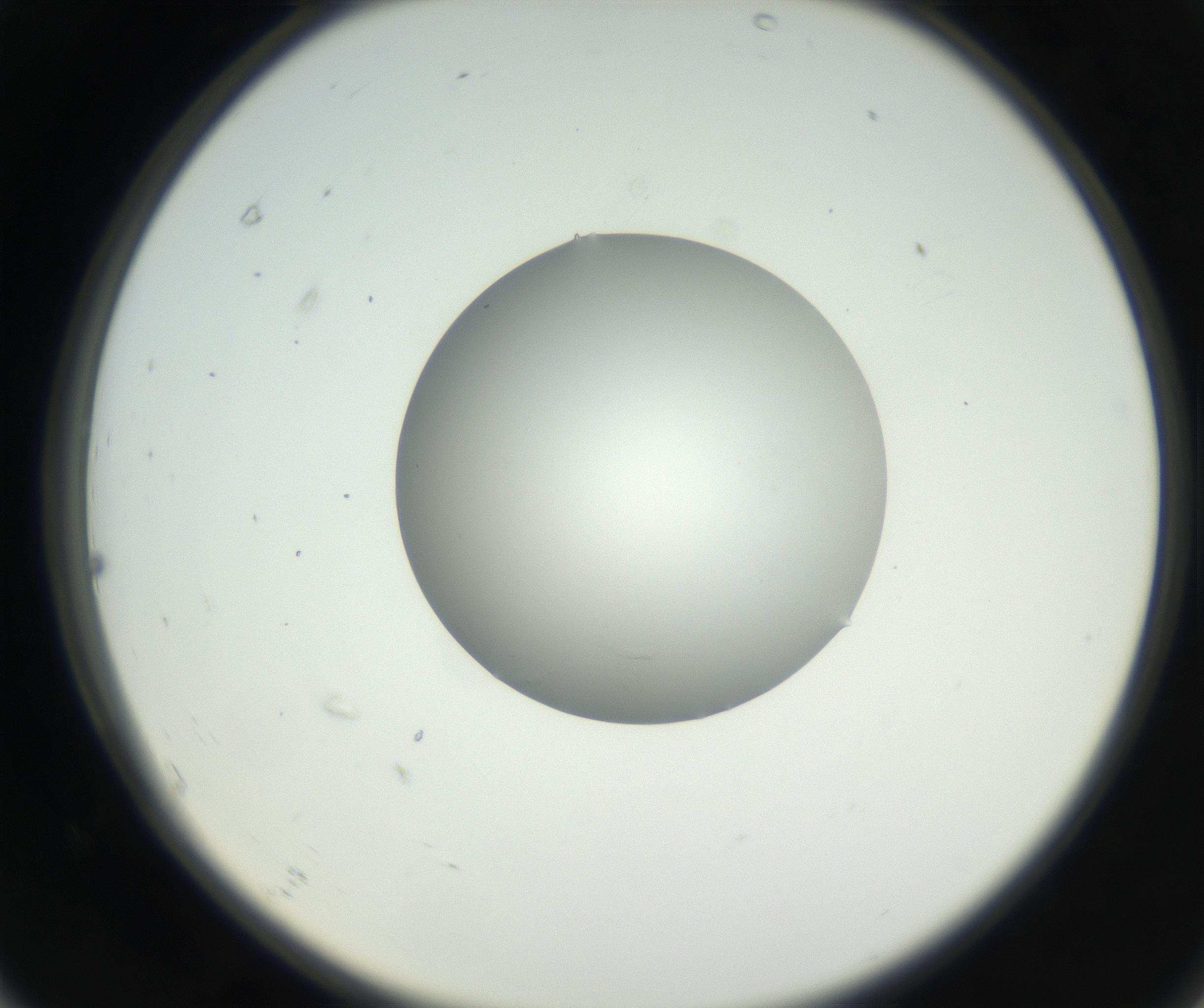 RI01_03_000_0212_Proj1_Clon1_MC_0000MC102636_003_160814_07_06_02_00_99_002_001_RAI.jpg