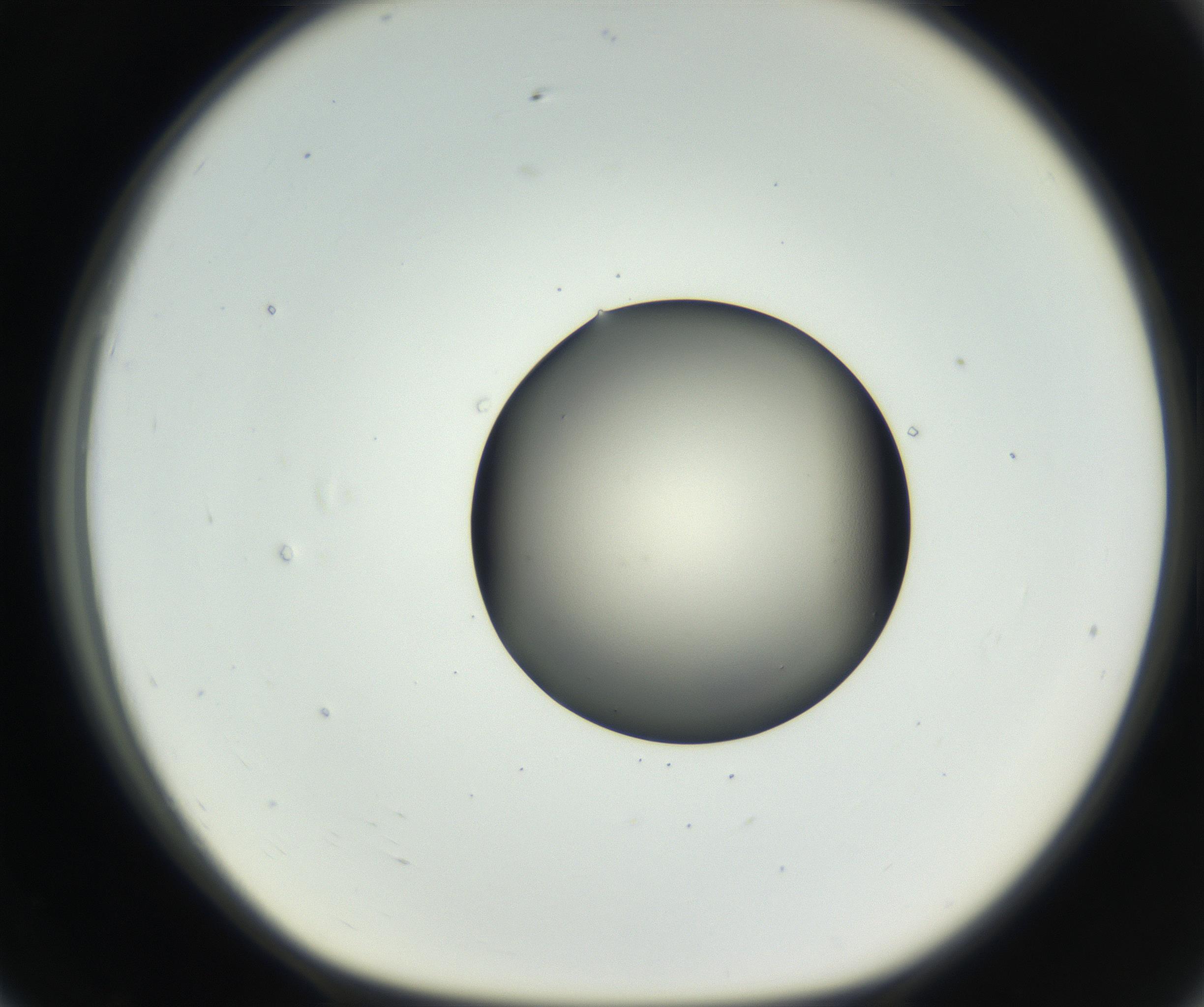RI01_03_000_0212_Proj1_Clon1_MC_0000MC102636_003_160814_07_07_01_00_99_002_001_RAI.jpg