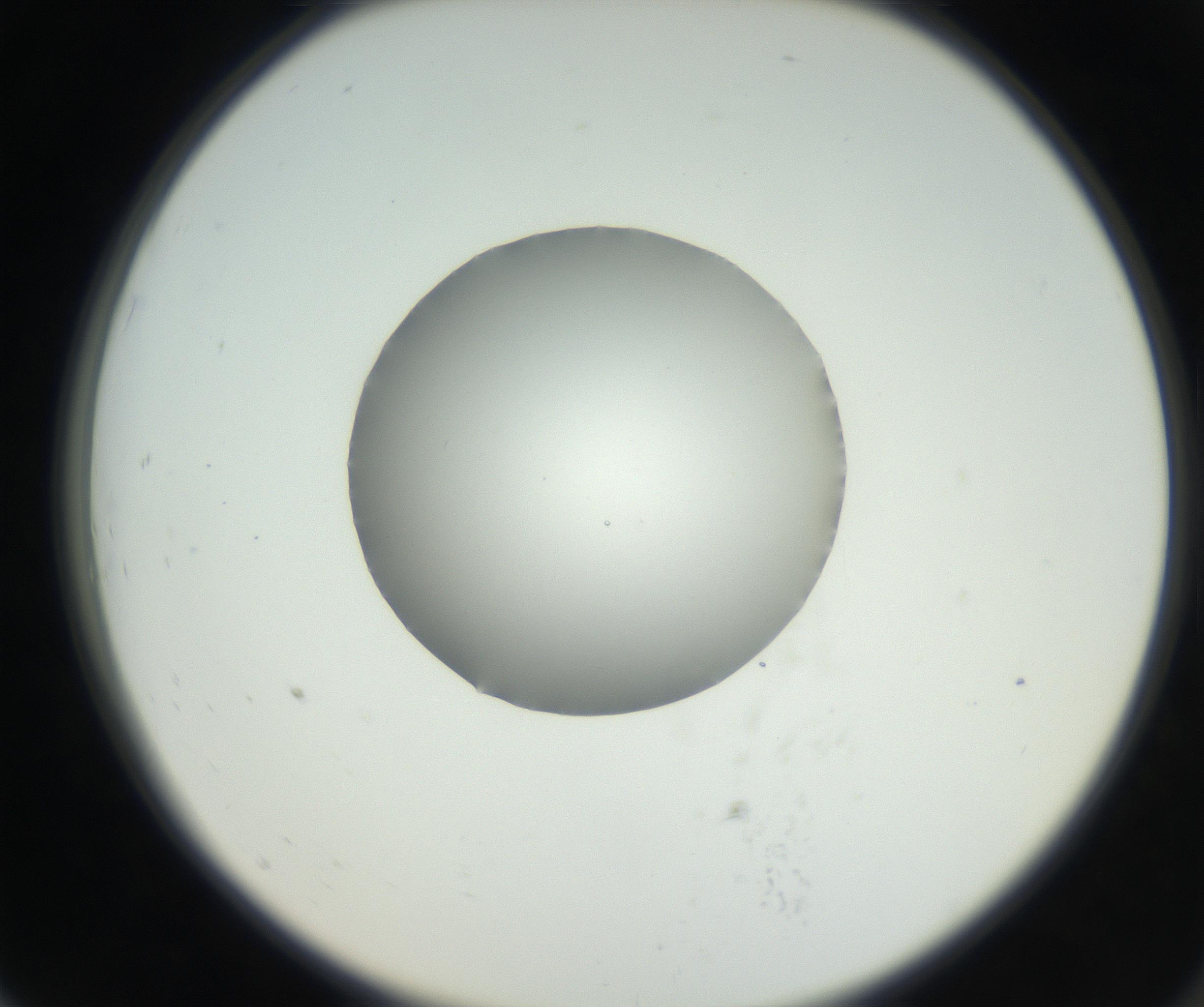RI01_03_000_0212_Proj1_Clon1_MC_0000MC102636_003_160814_07_07_02_00_99_002_001_RAI.jpg