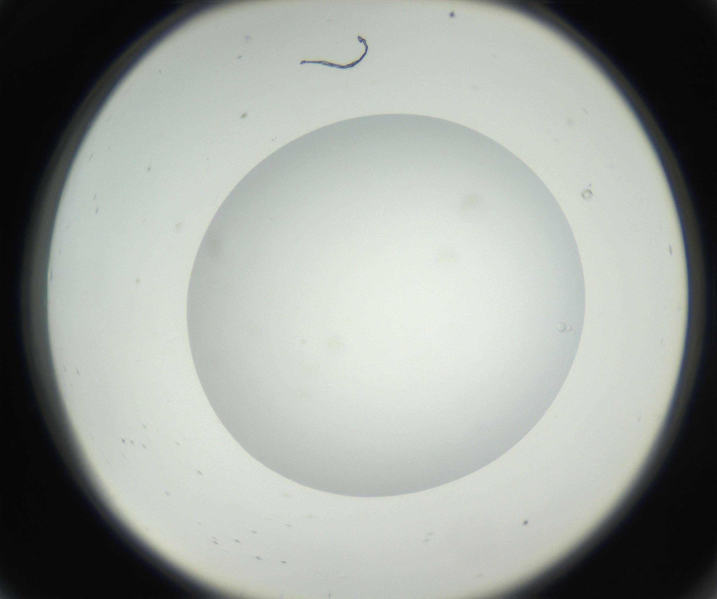 RI01_03_000_0212_Proj1_Clon1_MC_0000MC102636_003_160814_08_01_02_00_99_002_001_RAI.jpg